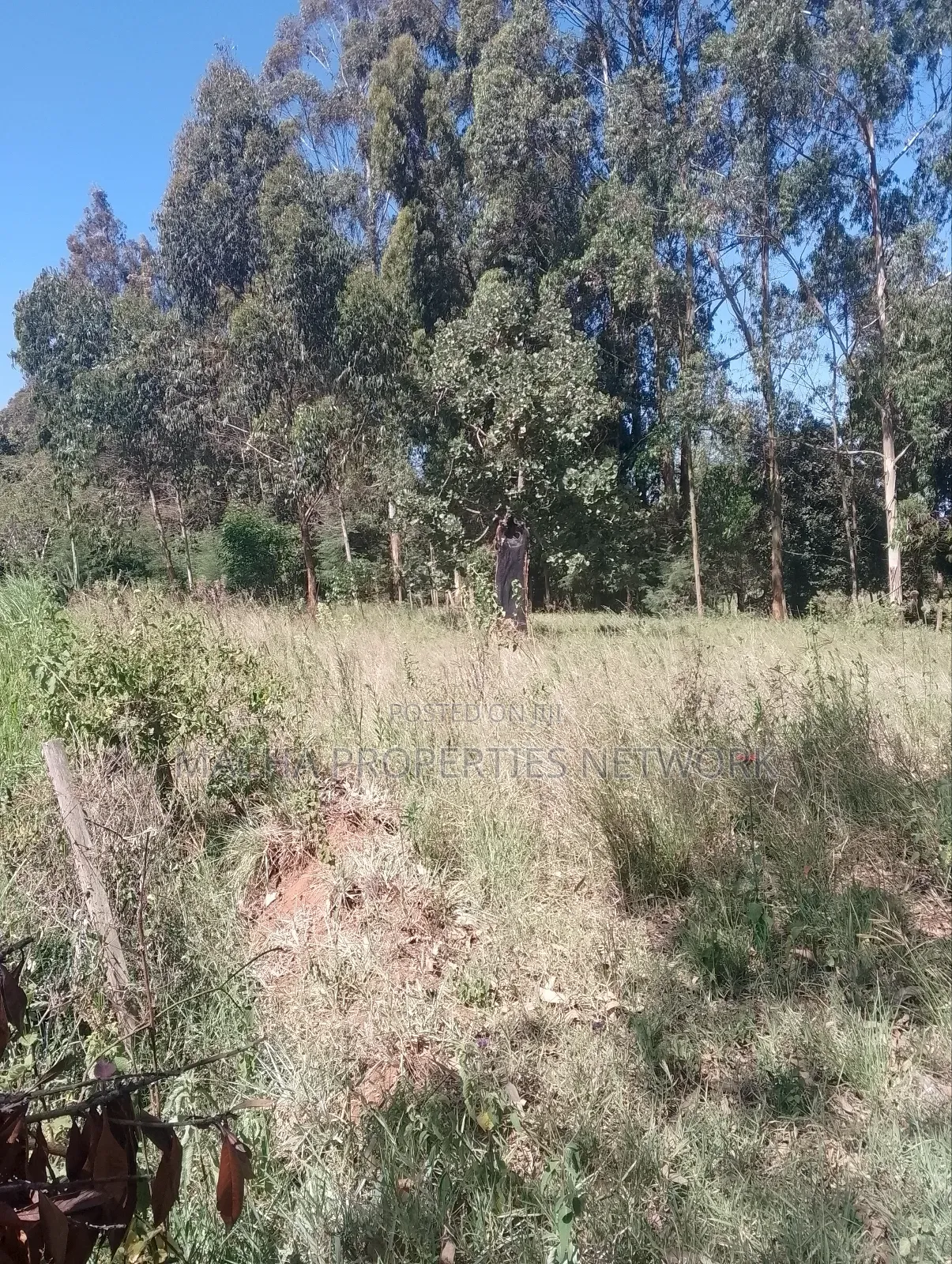 Mua Hills Near Rador Station 3 Plots for Sale in Mua Hills