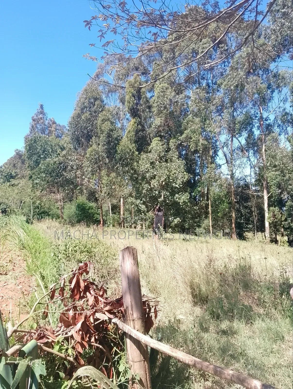 Mua Hills Near Rador Station 3 Plots for Sale in Mua Hills
