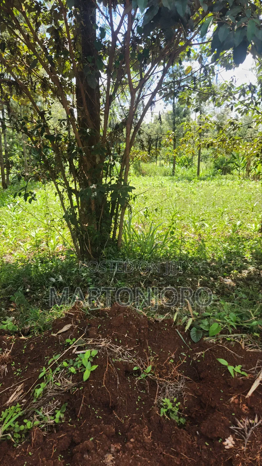 2 Acres in Gatundu South in Gatundu South