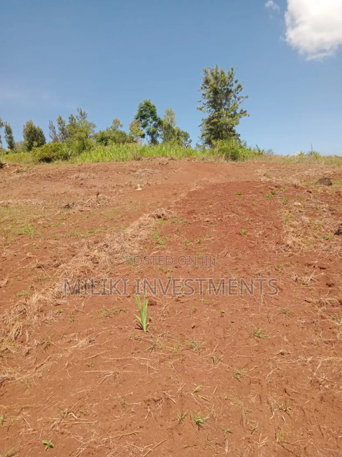40 by 80 Plots for Sale at Kenol Kagaa in Kimorori/Wempa