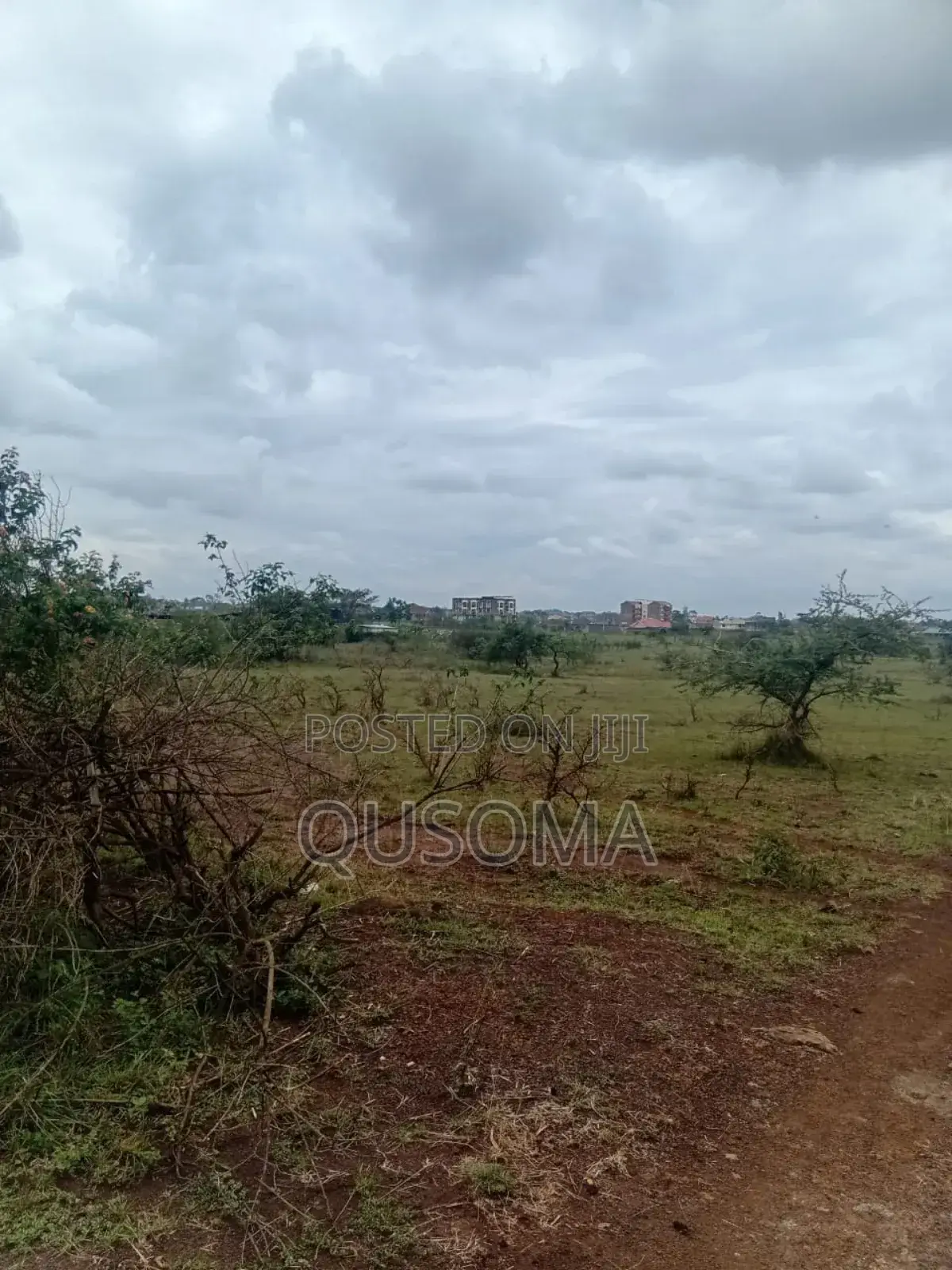 Thika Road Goldmine: 1/4 Acre Ready for Harvest! 3.7km Mang'u High in Mangu