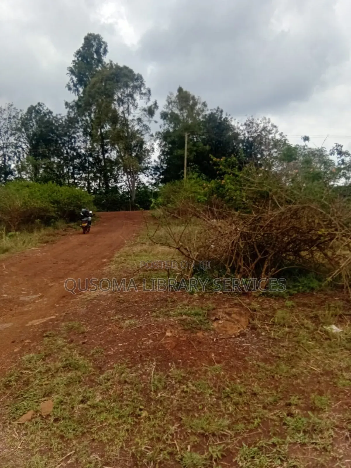 Thika Road Goldmine: 1/4 Acre Ready for Harvest! 3.7km Mang'u High in Mangu
