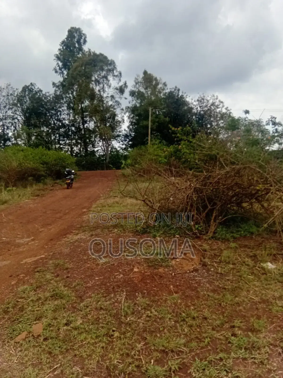Thika Road Goldmine: 1/4 Acre Ready for Harvest! 3.7km Mang'u High in Mangu