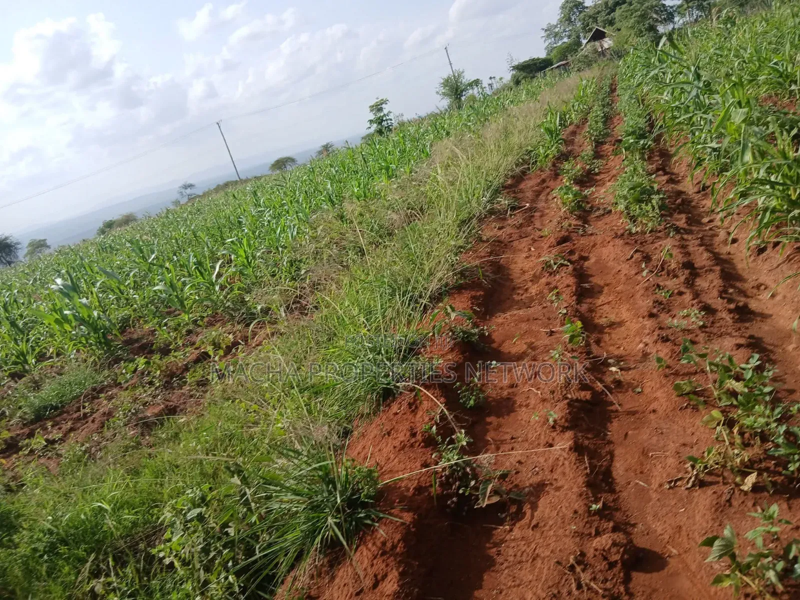 Katangi -Machakos 3 Acres for Sale. in Katangi