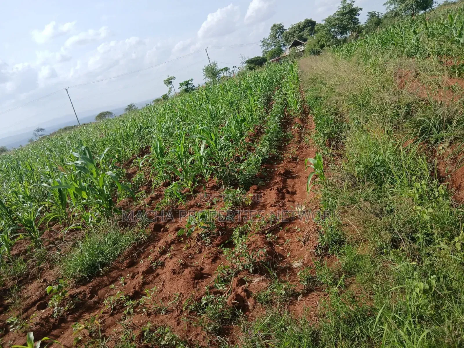 Katangi -Machakos 3 Acres for Sale. in Katangi
