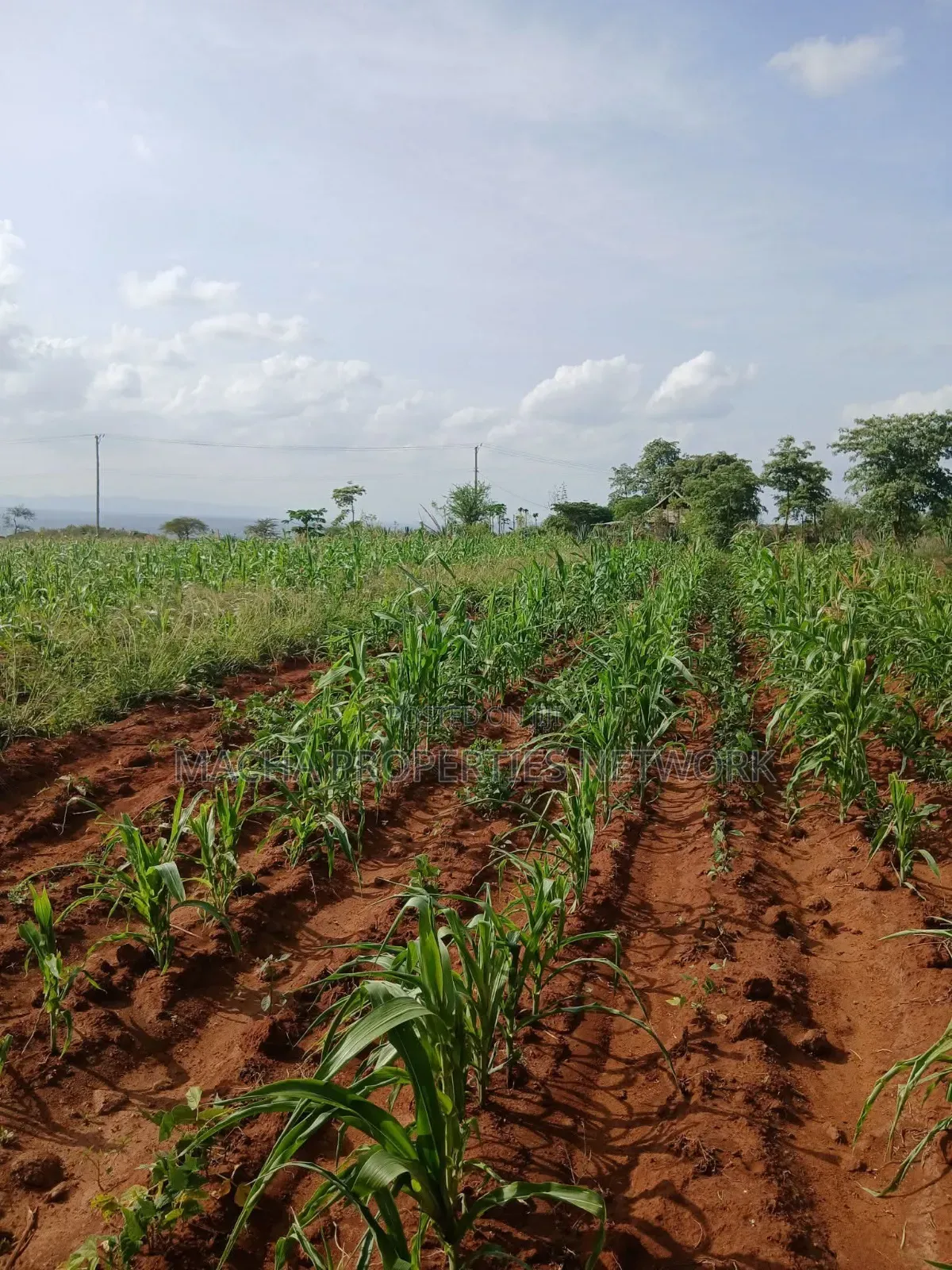 Katangi -Machakos 3 Acres for Sale. in Katangi