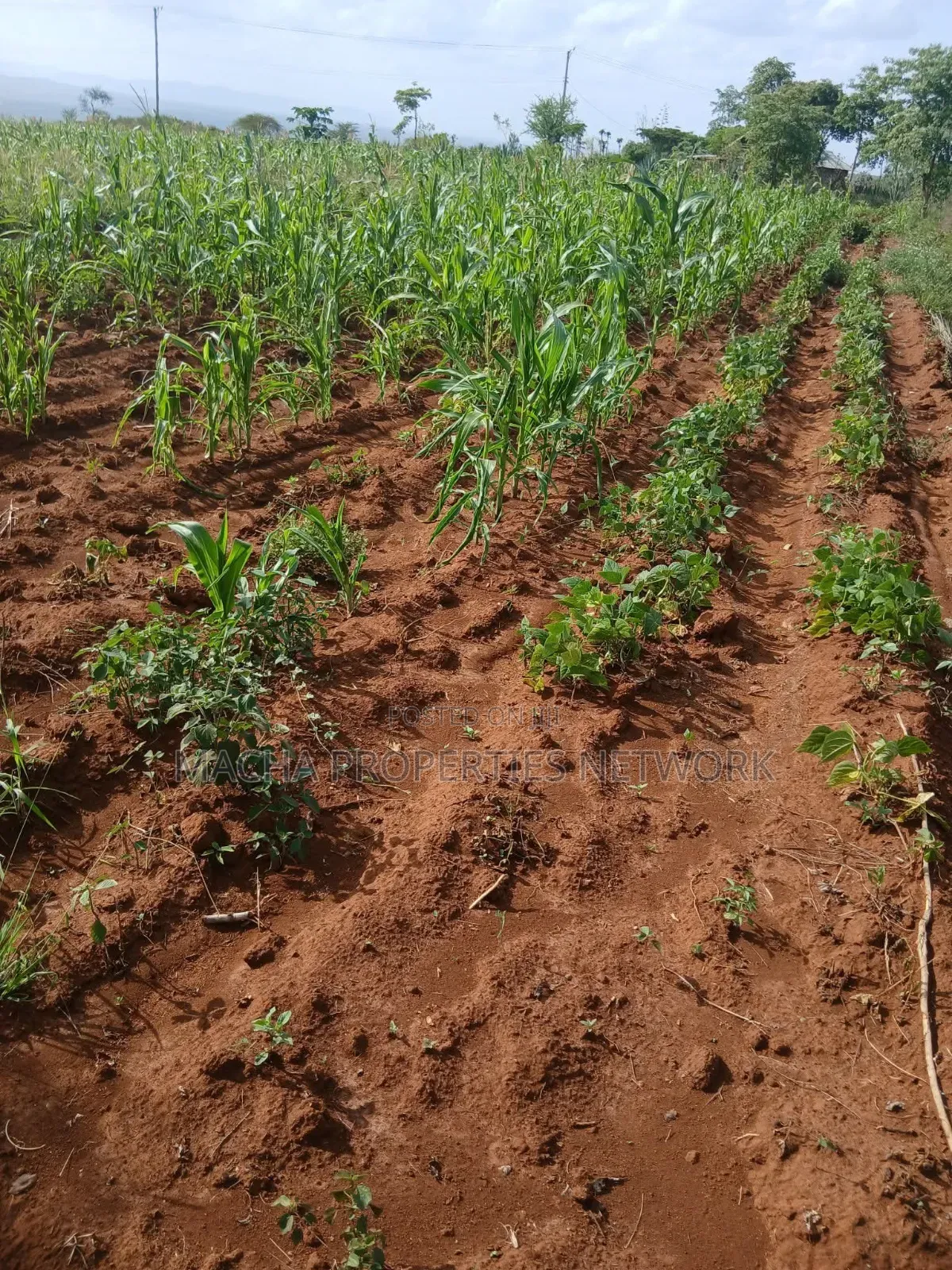 Katangi -Machakos 3 Acres for Sale. in Katangi