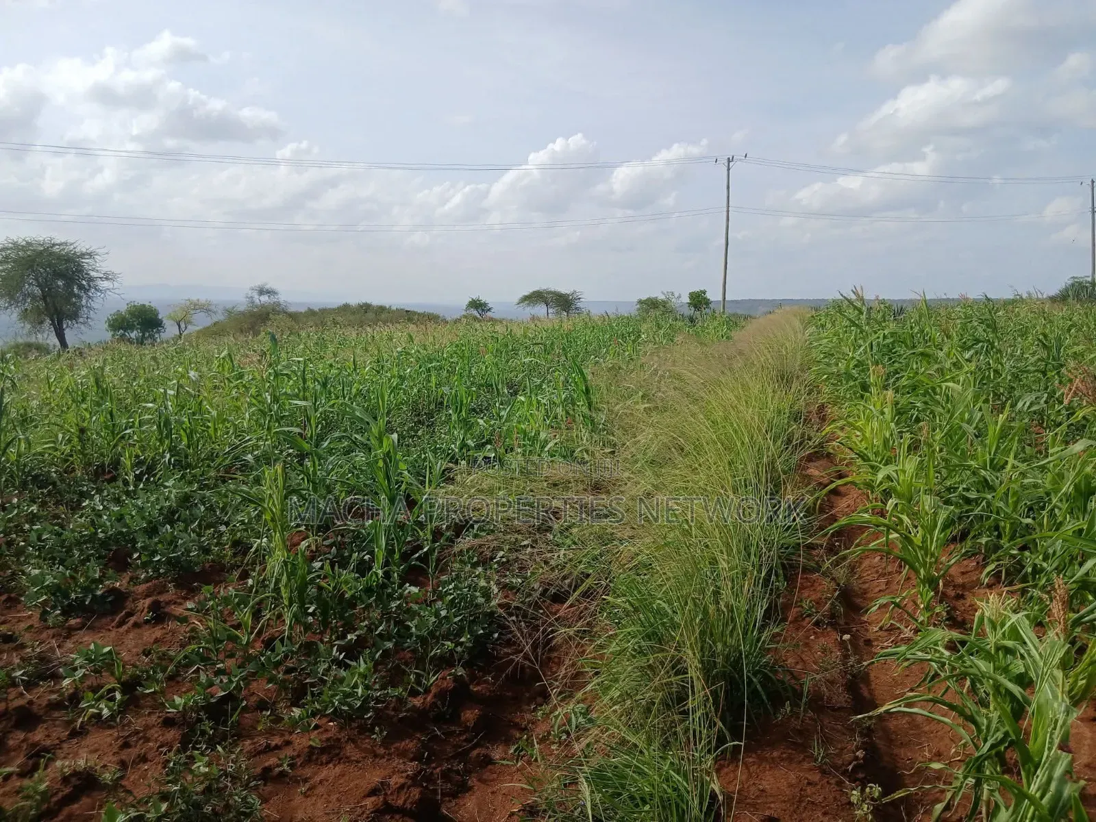 Katangi -Machakos 3 Acres for Sale. in Katangi