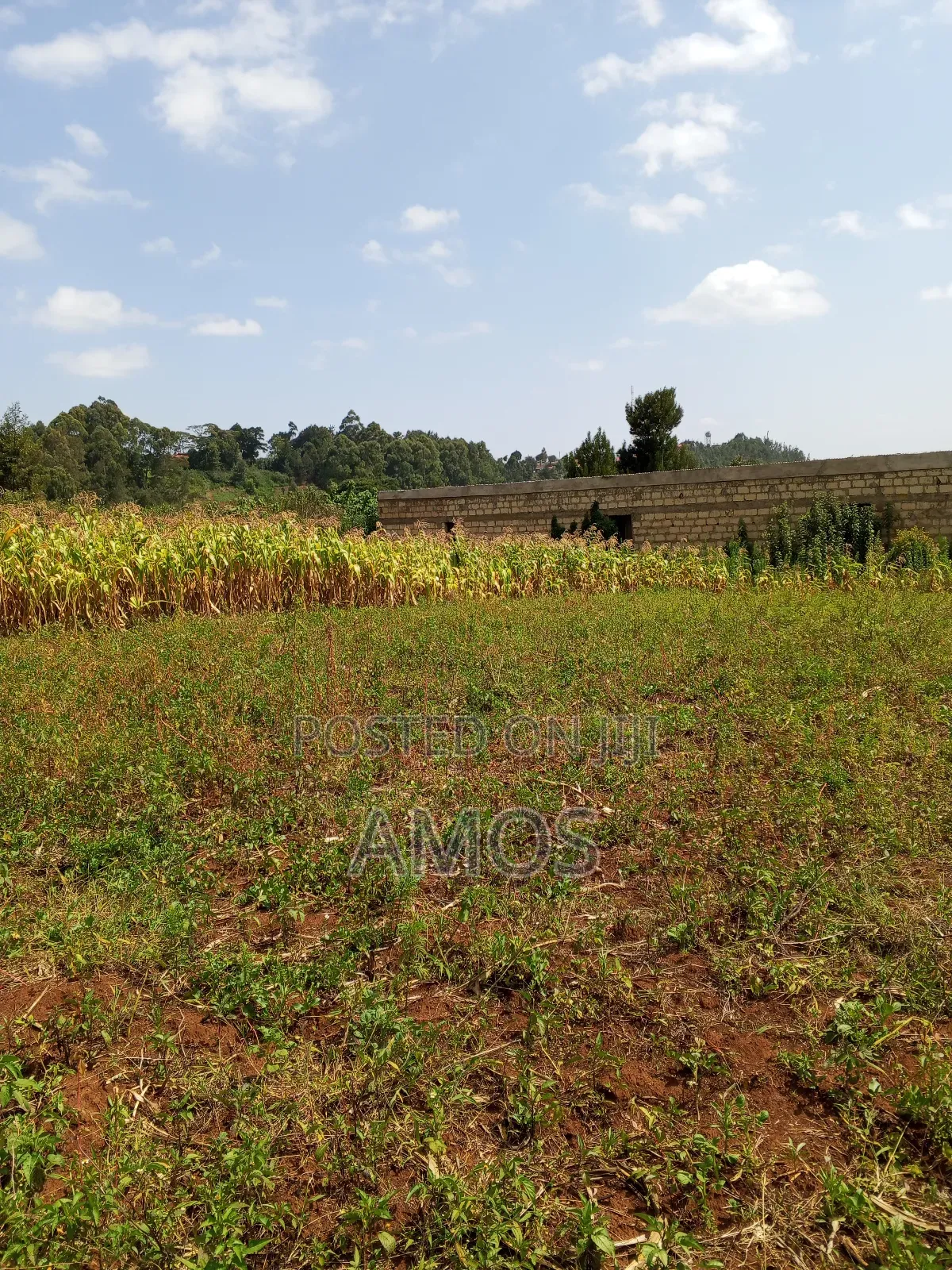 Very Prime 1⁄8ac Plots in Kamirithu Limuru in Limuru