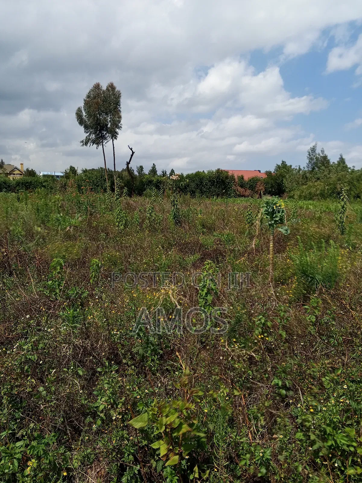 Very Prime 1⁄8ac Plots in Kamirithu Limuru in Limuru