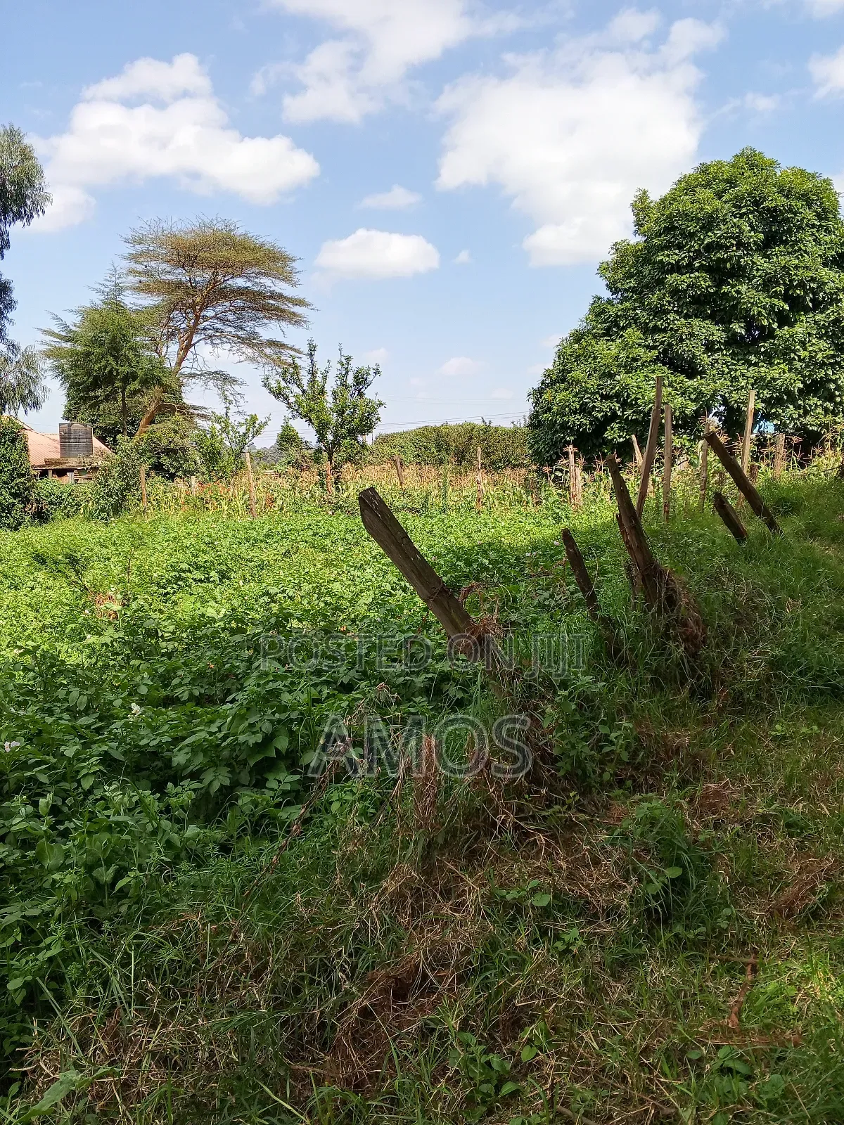 1⁄8ac Plots in Kwambira Limuru in Limuru