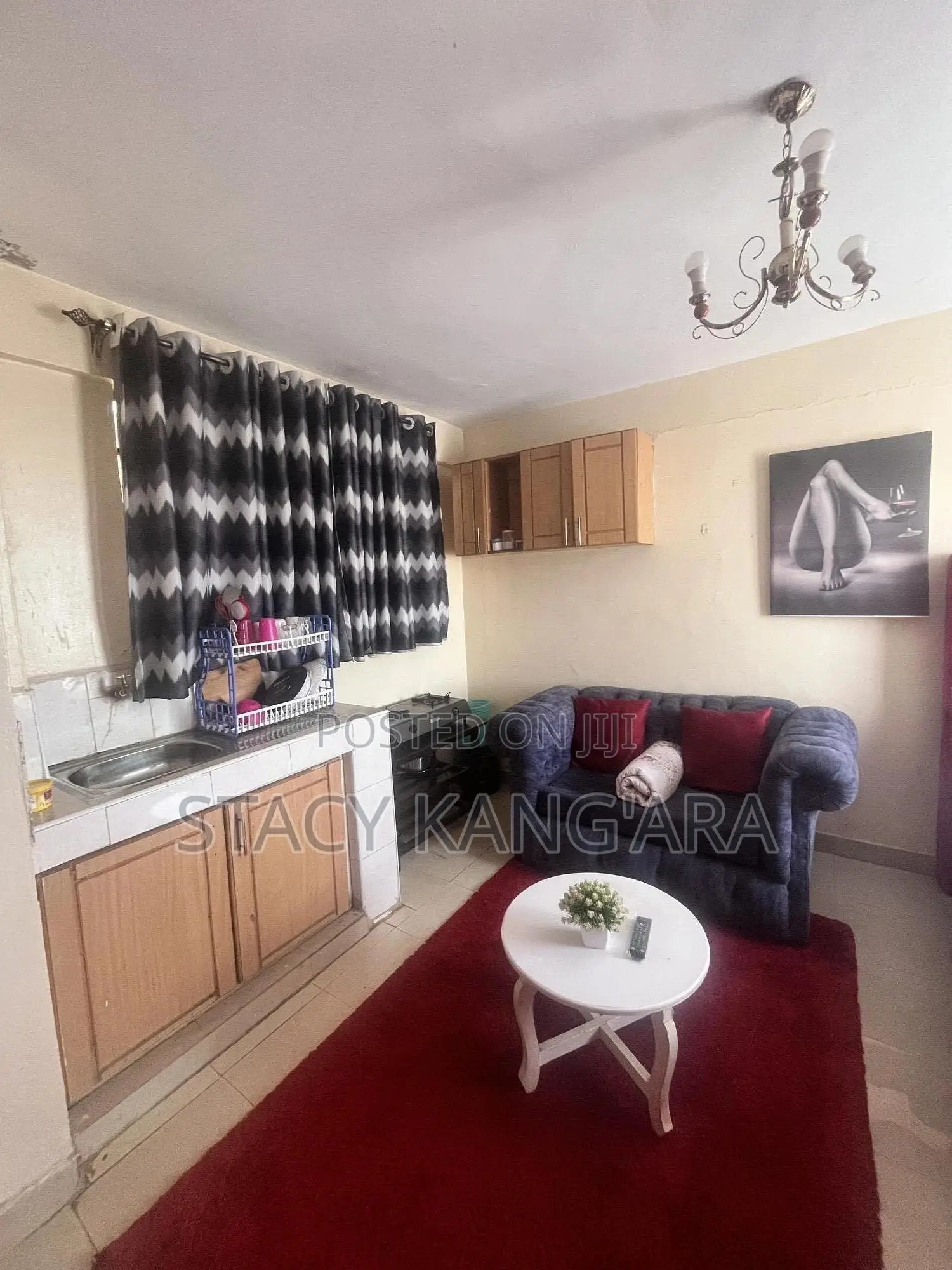 Fully Furnished Studio Apartment in Roysambu
