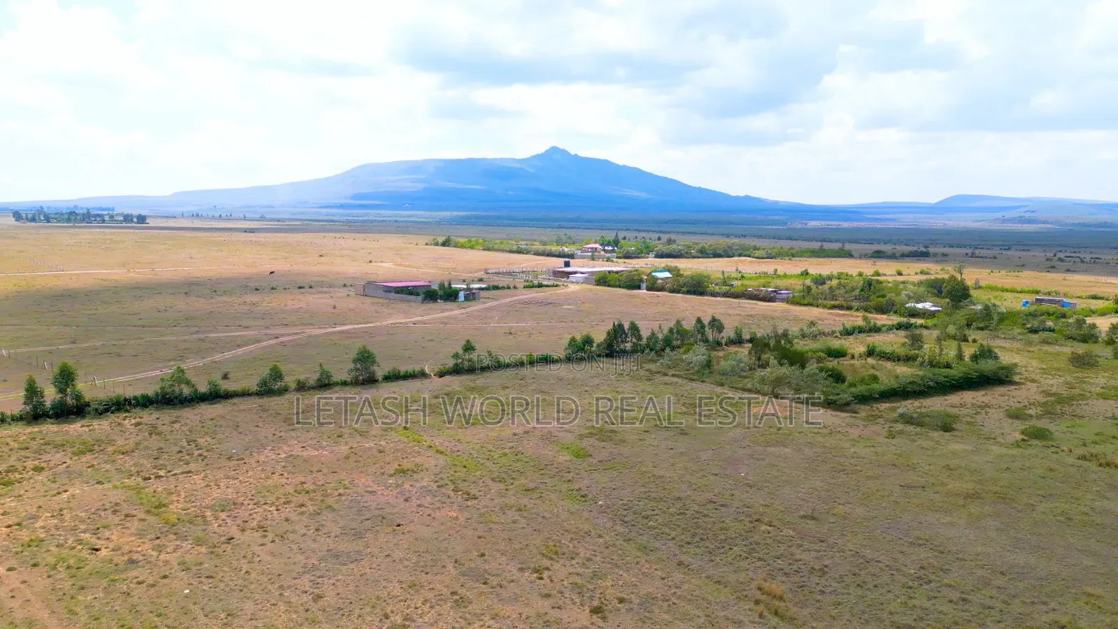Longonot View Phase 5, Cash in Mirera