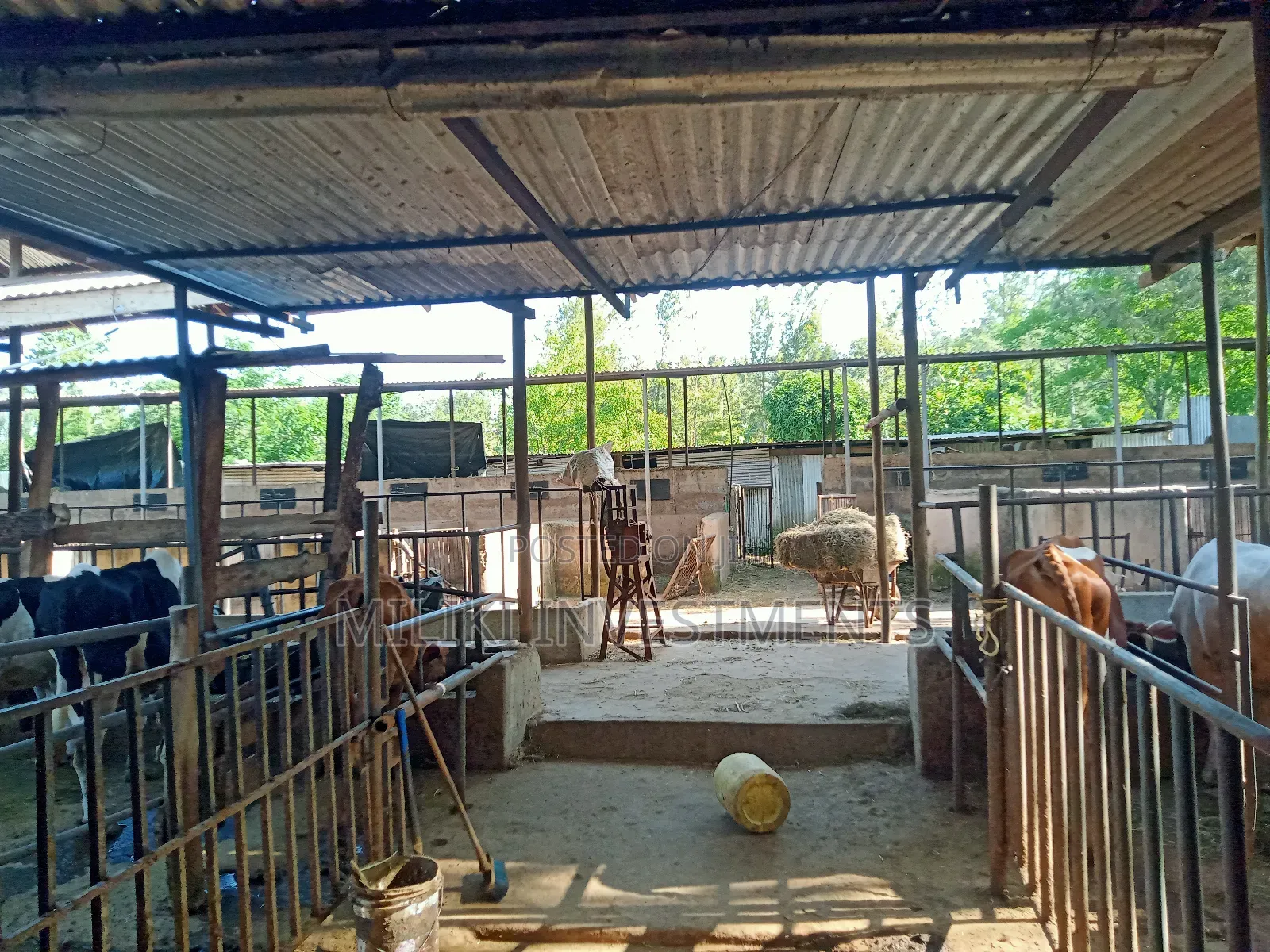 One Acre of Land on Sale at Makuyu in Makuyu