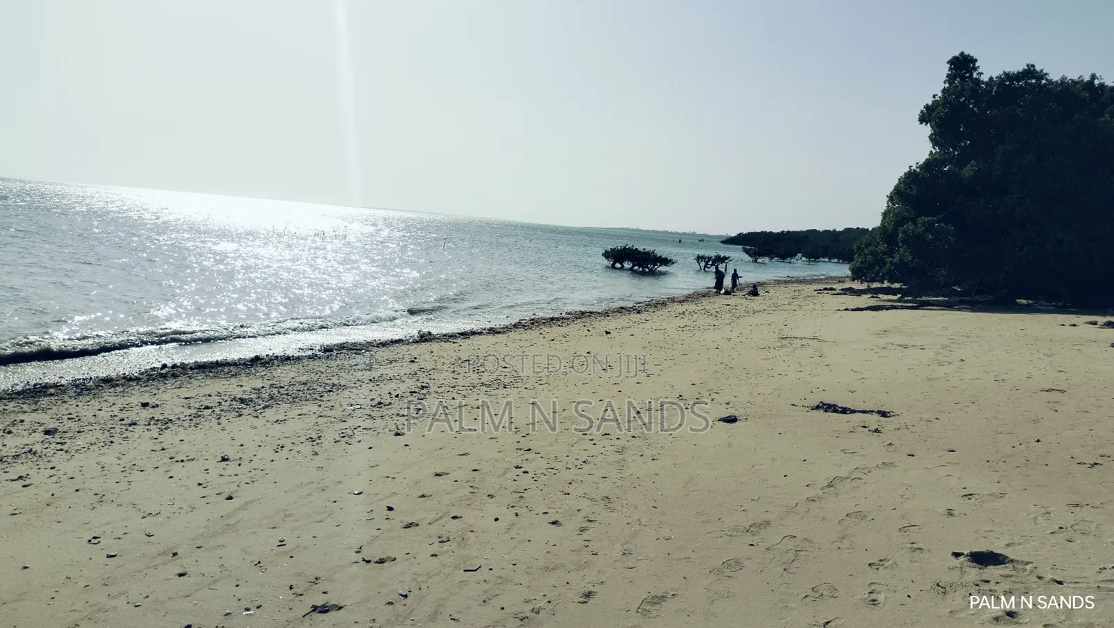 Shimoni Half Acre Beach Plot for Sale!! in Pongwe/Kikoneni