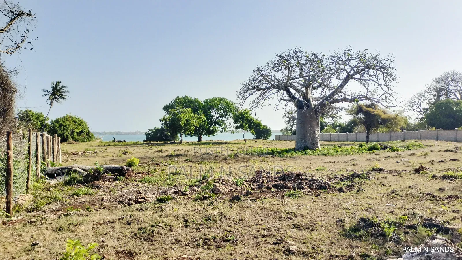 Shimoni Half Acre Beach Plot for Sale!! in Pongwe/Kikoneni