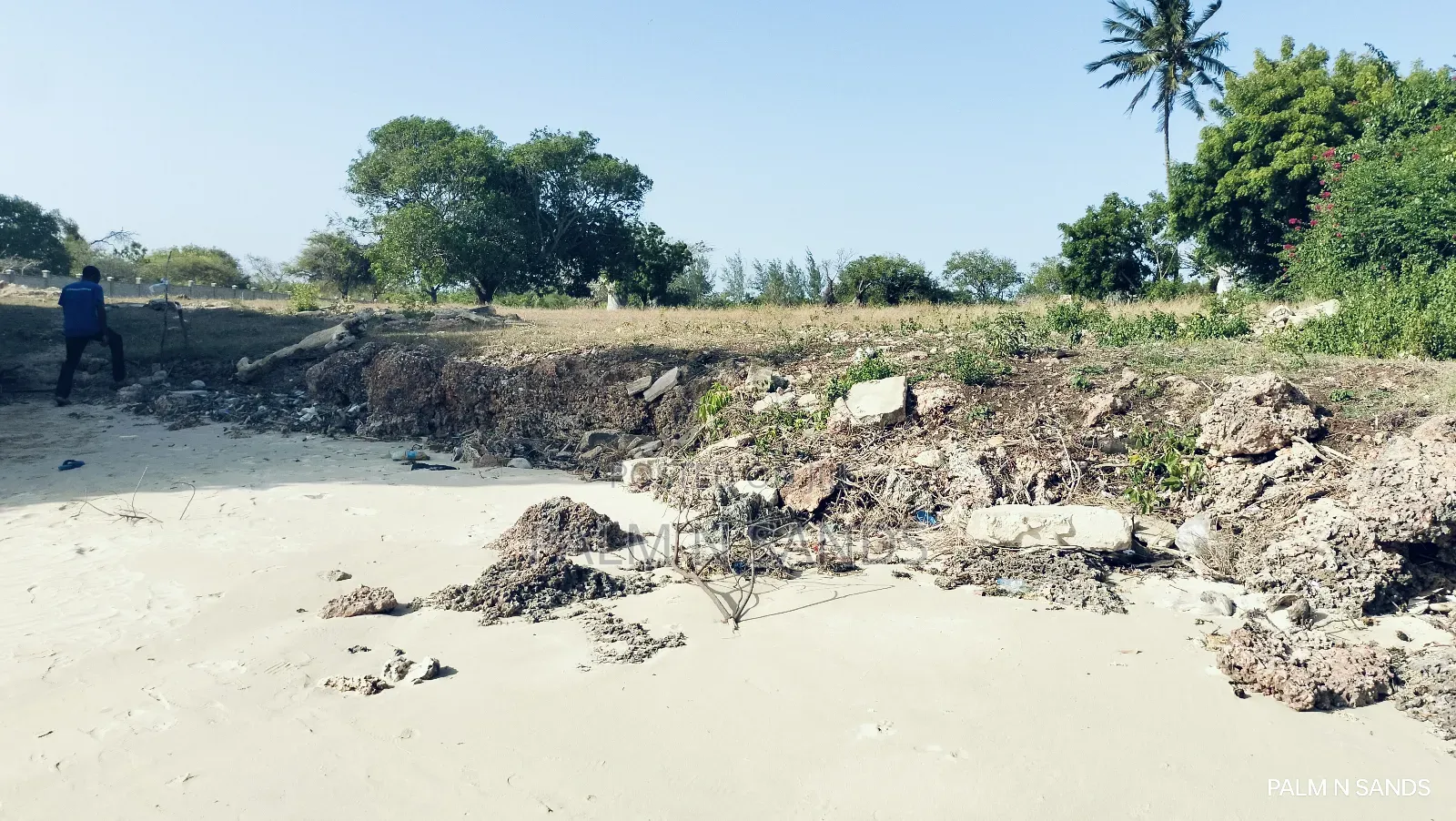 Shimoni Half Acre Beach Plot for Sale!! in Pongwe/Kikoneni