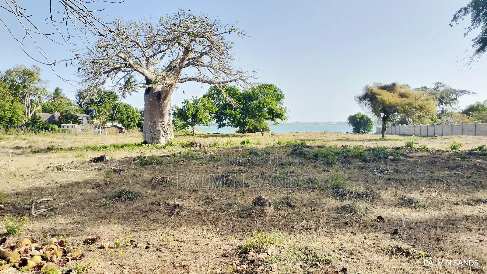 Shimoni Half Acre Beach Plot for Sale!! in Pongwe/Kikoneni