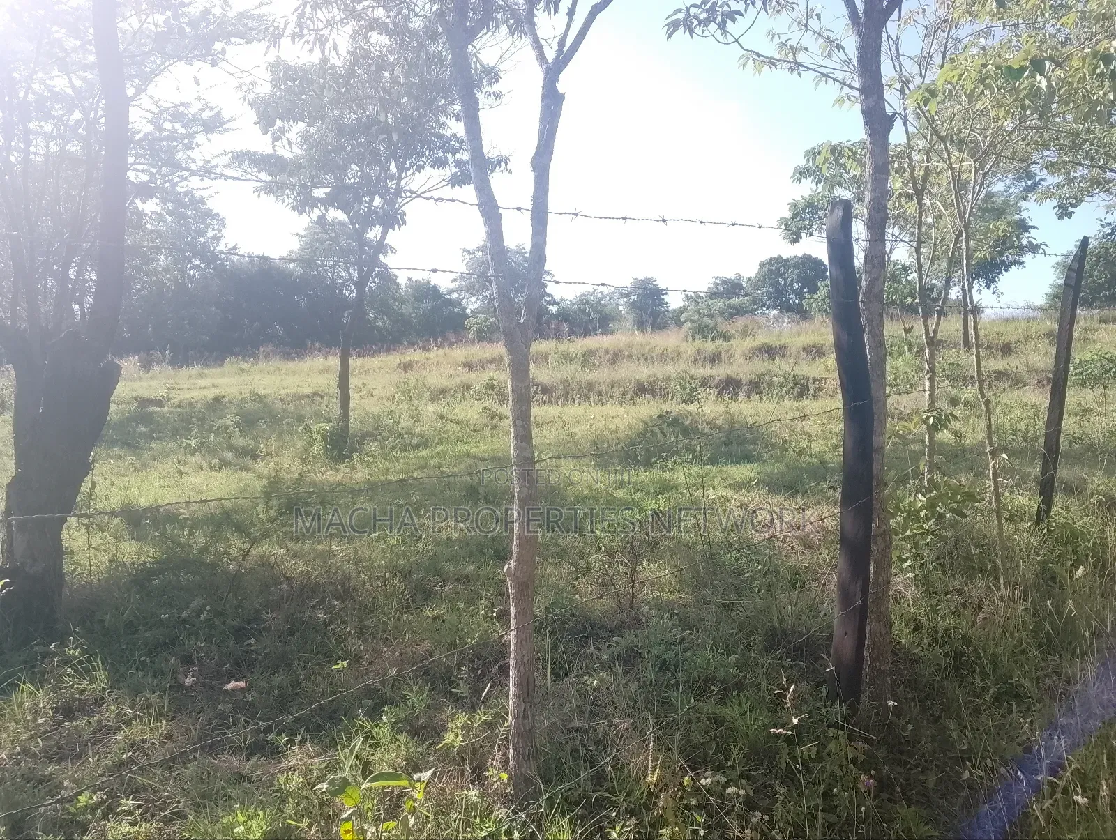1 Acre for Sale Masii - Kithangathini in Masii