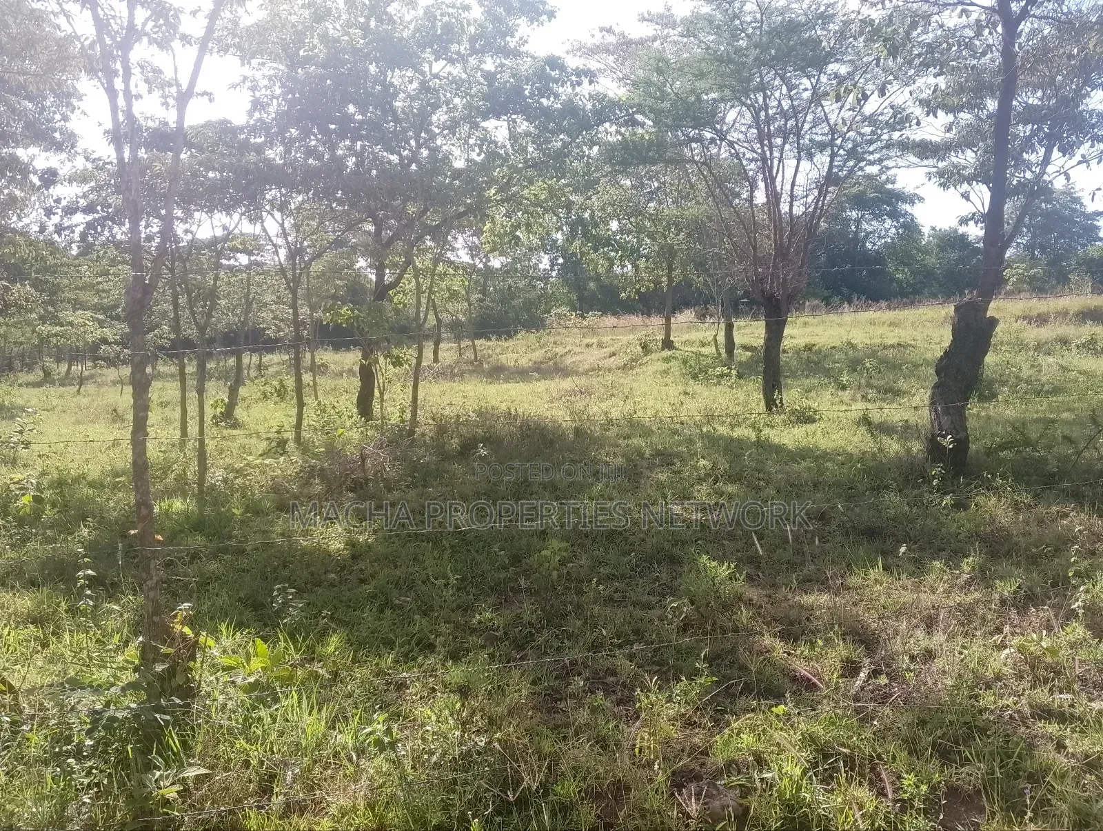 1 Acre for Sale Masii - Kithangathini in Masii