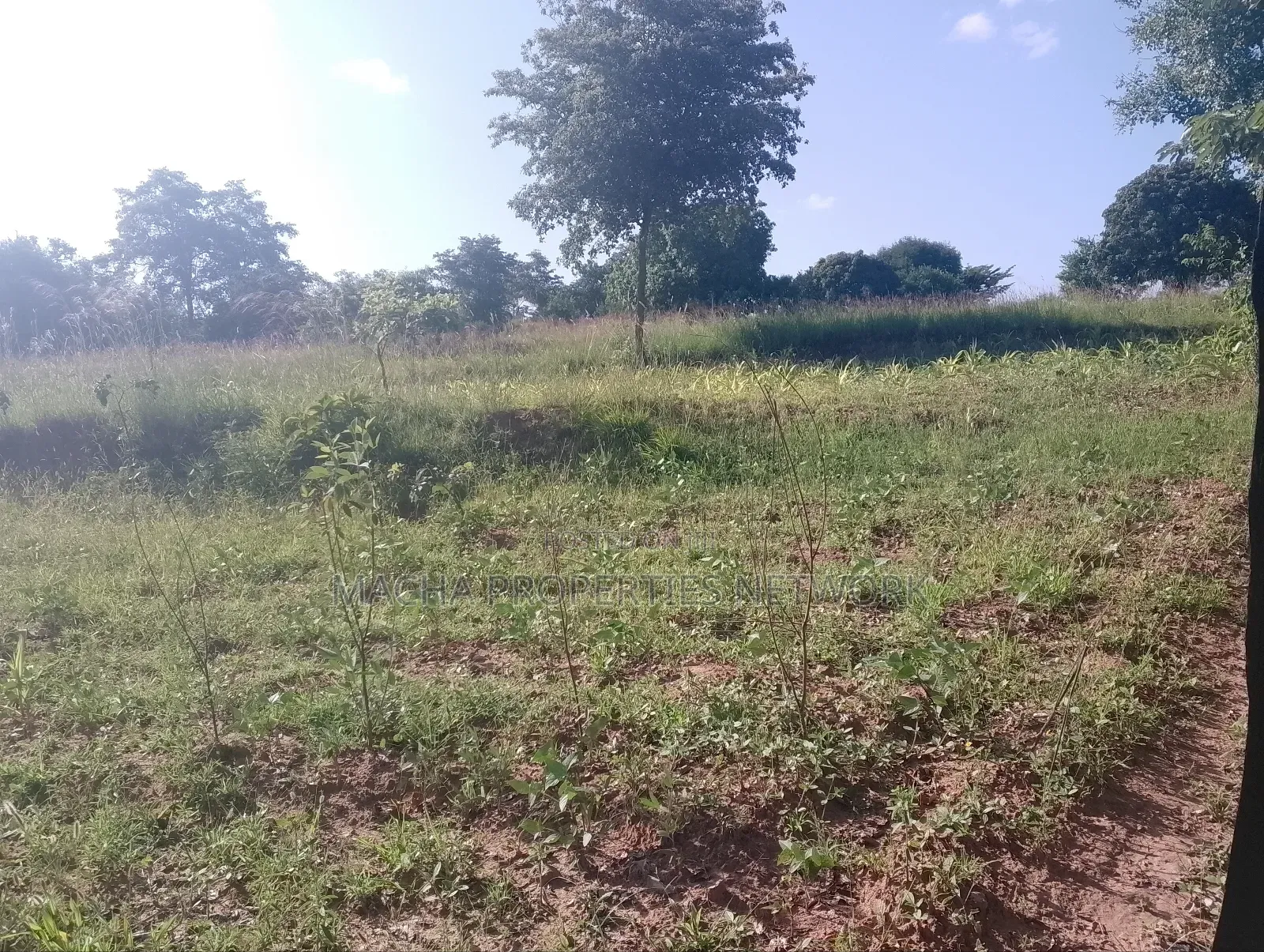 1 Acre for Sale Masii - Kithangathini in Masii