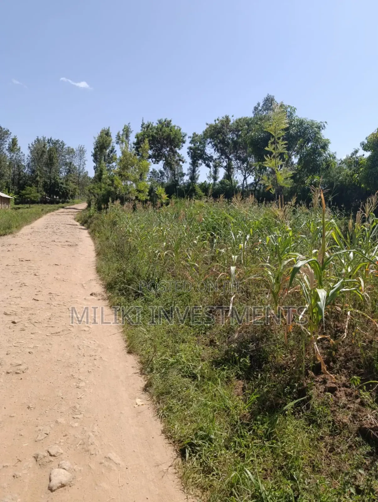 1.75 Acres on Sale at Makuyu in Makuyu
