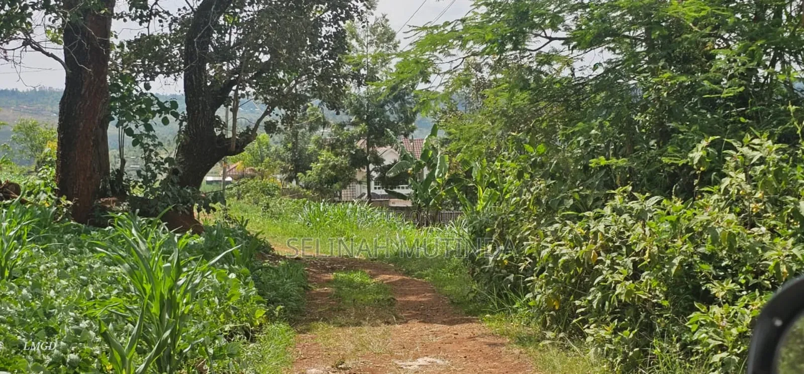 Kenol Kagaa Prime Plots in Kimorori/Wempa