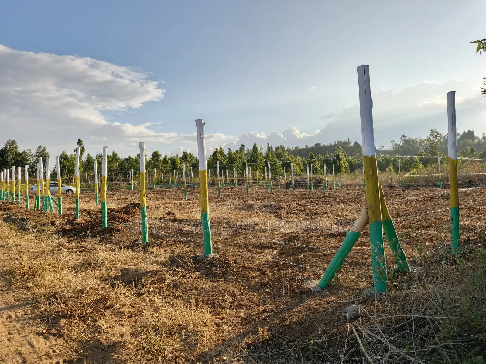 Raedy to Build 50x100 Land for Sale With All Amenities in Karai