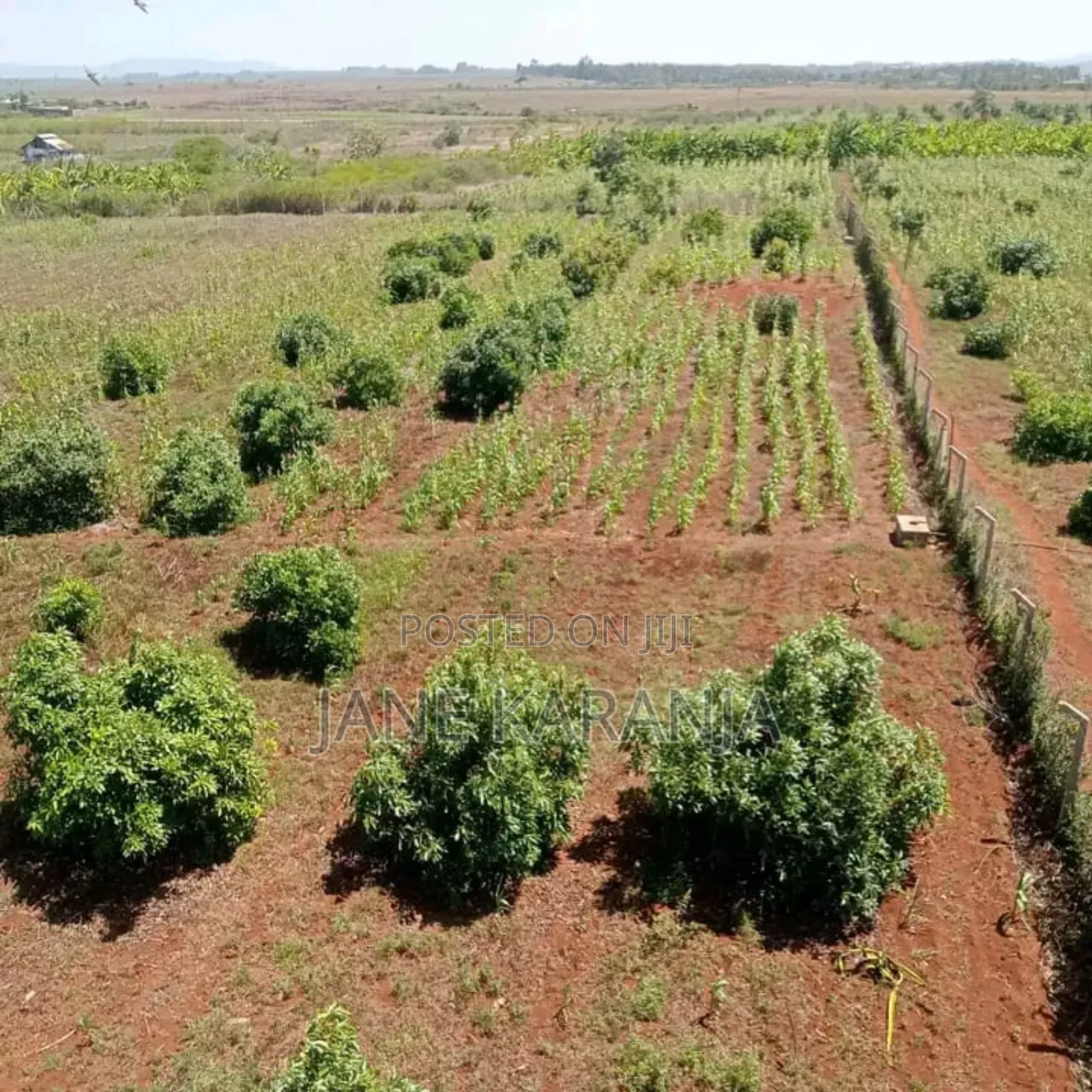 Thika Mitubiri 3blocks of 17acres,7.5acres and 7.5acres in Thika