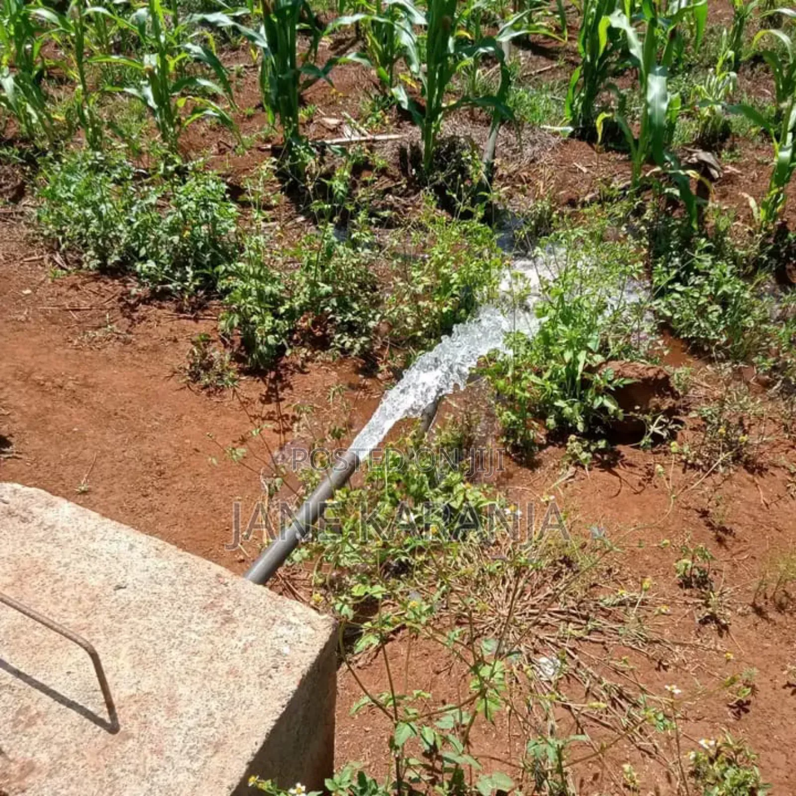 Thika Mitubiri 3blocks of 17acres,7.5acres and 7.5acres in Thika