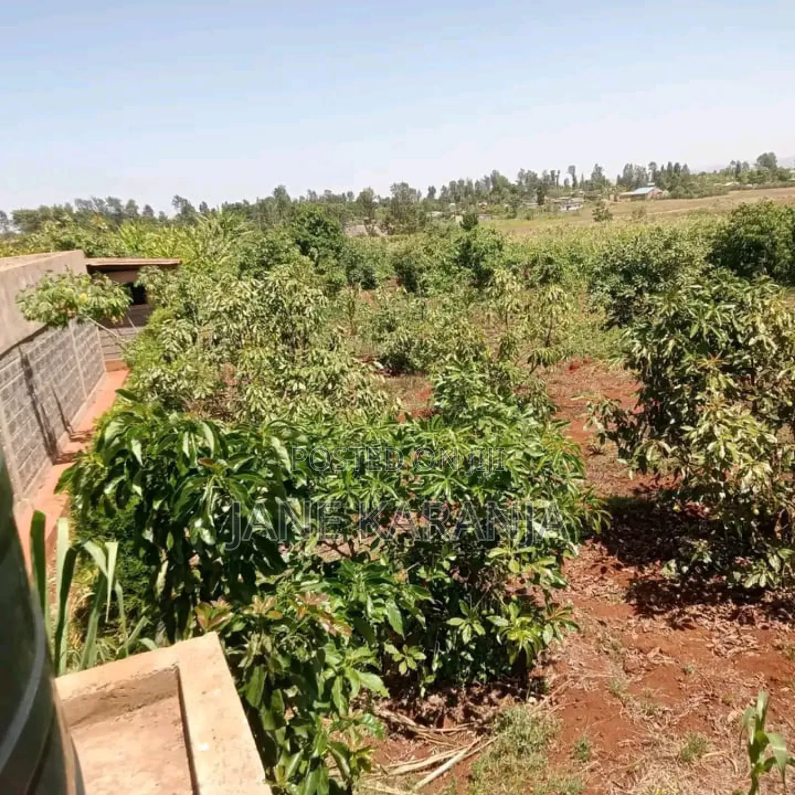 Thika Mitubiri 3blocks of 17acres,7.5acres and 7.5acres in Thika