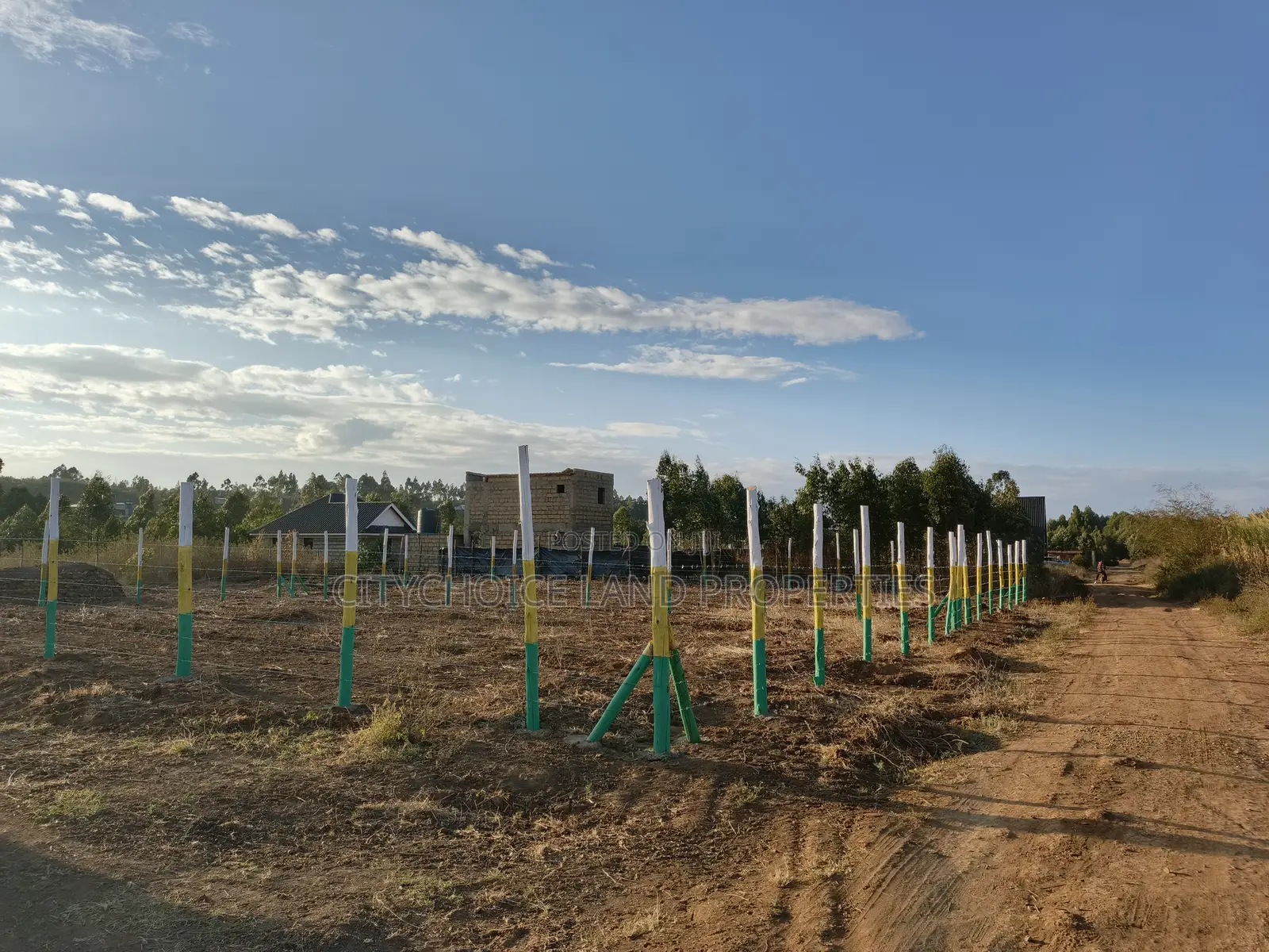 Prime Affordable 50x100ft Plots Buy Today Build Tomorrow in Karai
