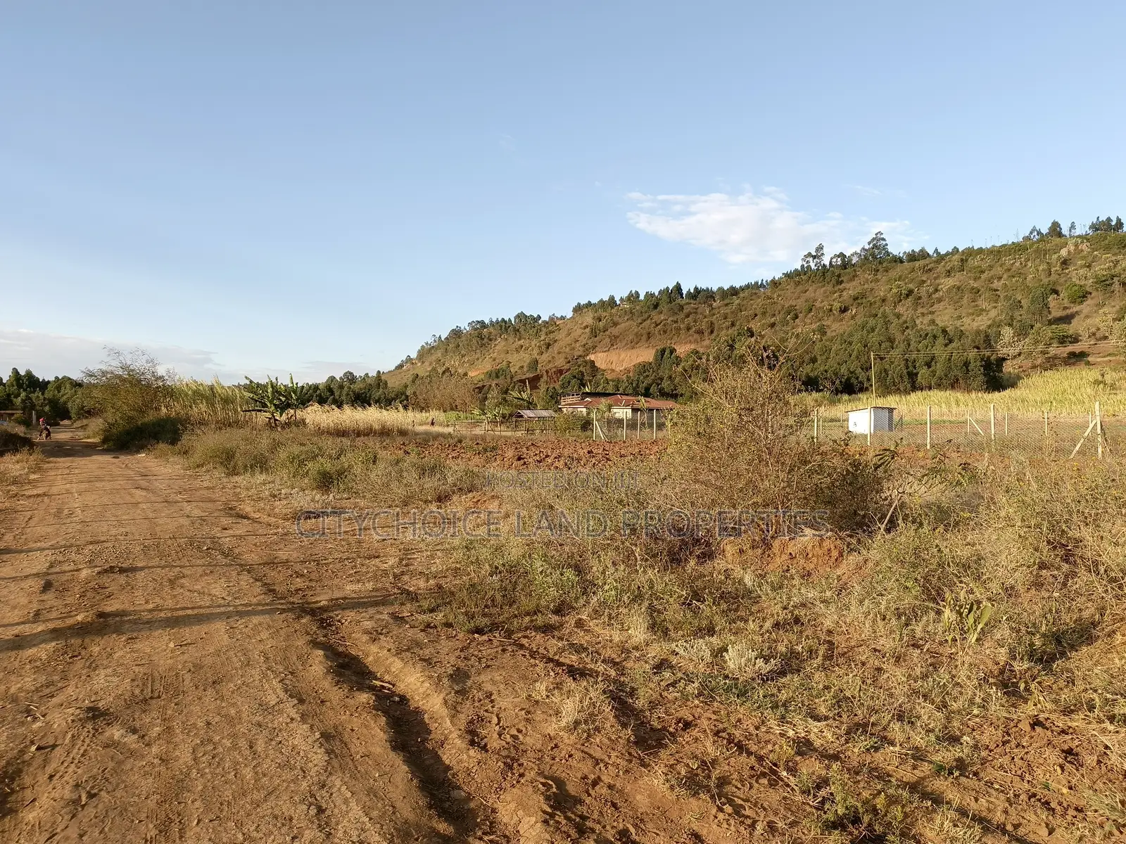 Prime Affordable 50x100ft Plots Buy Today Build Tomorrow in Karai