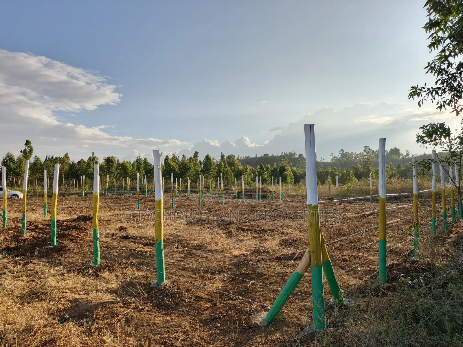 Prime Affordable 50x100ft Plots Buy Today Build Tomorrow in Karai