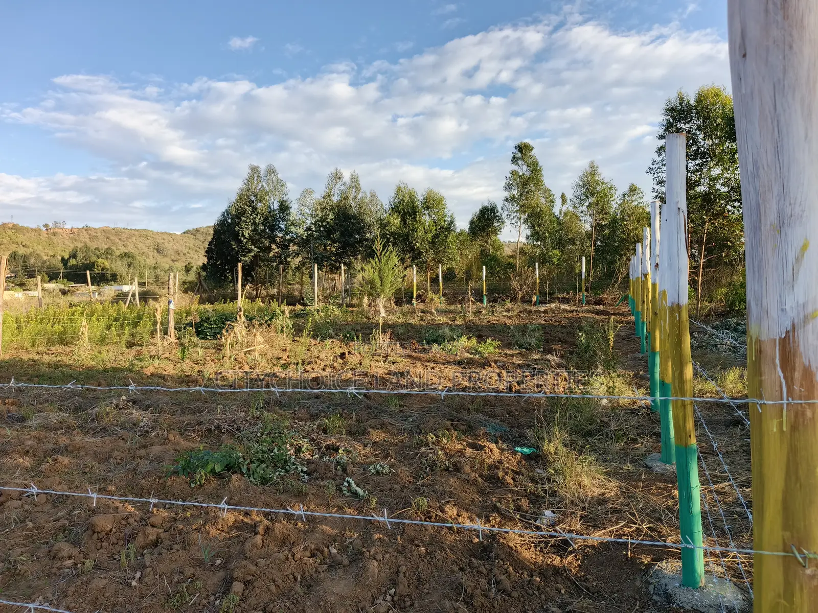 Prime Affordable Plots in Kikuyu Karai for 1.3m in Karai