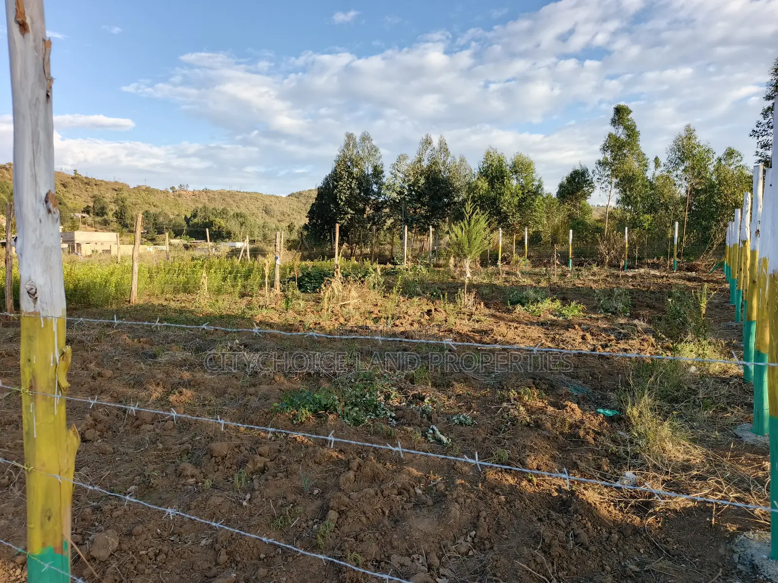Prime Affordable Plots in Kikuyu Karai for 1.3m in Karai