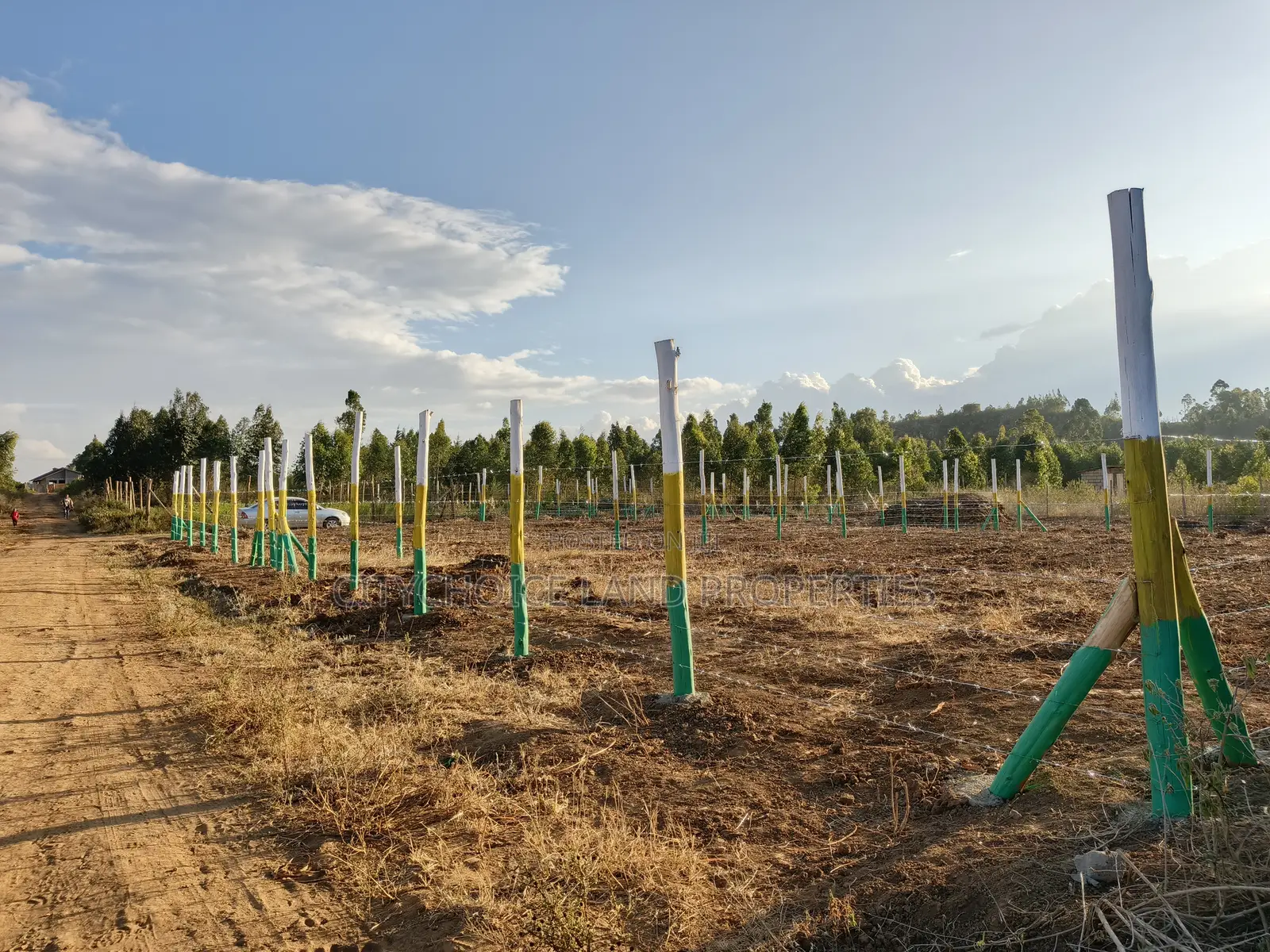 Prime Affordable Plots in Kikuyu Karai for 1.3m in Karai