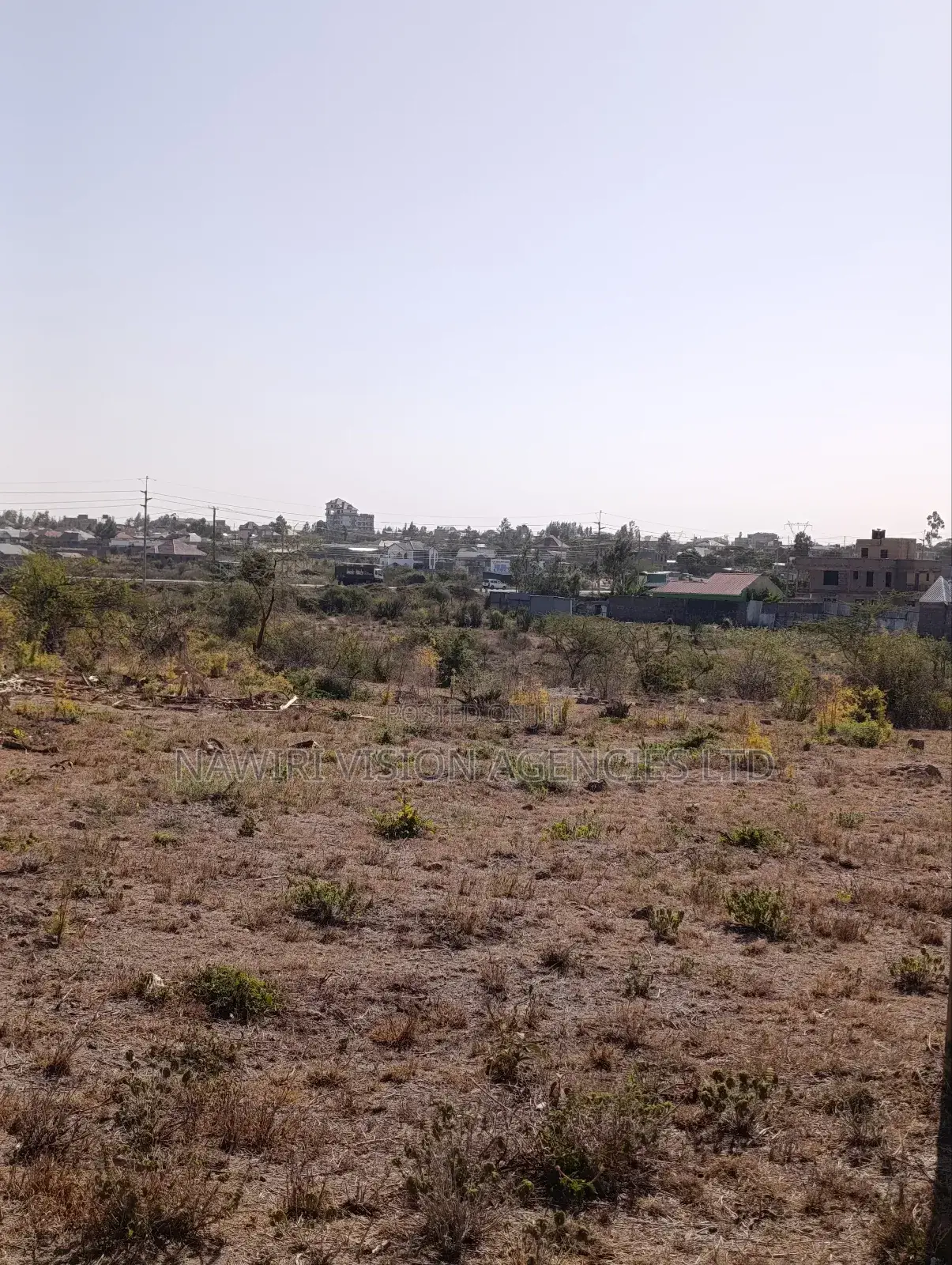 50*100 Plots for Sale in Malaa Commercial in Malaa