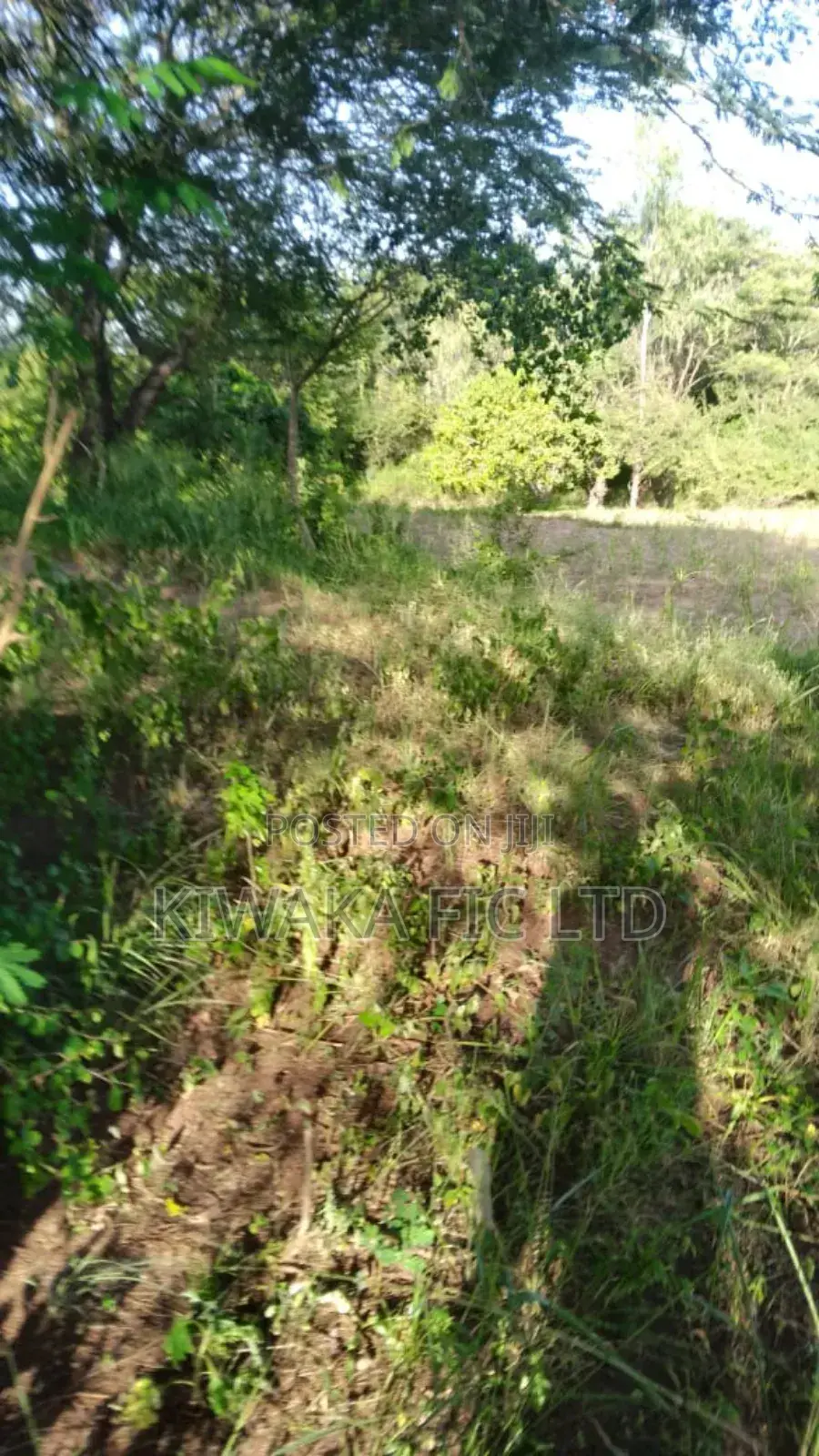 3 Acres in Kambiti in Makuyu