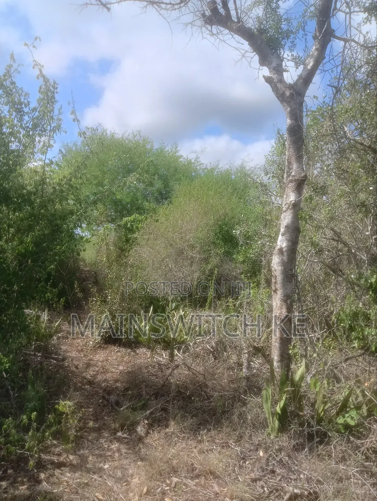 Own 343 Acres With Ready Tittle Deed Just 2km From The Main Road in Magarini