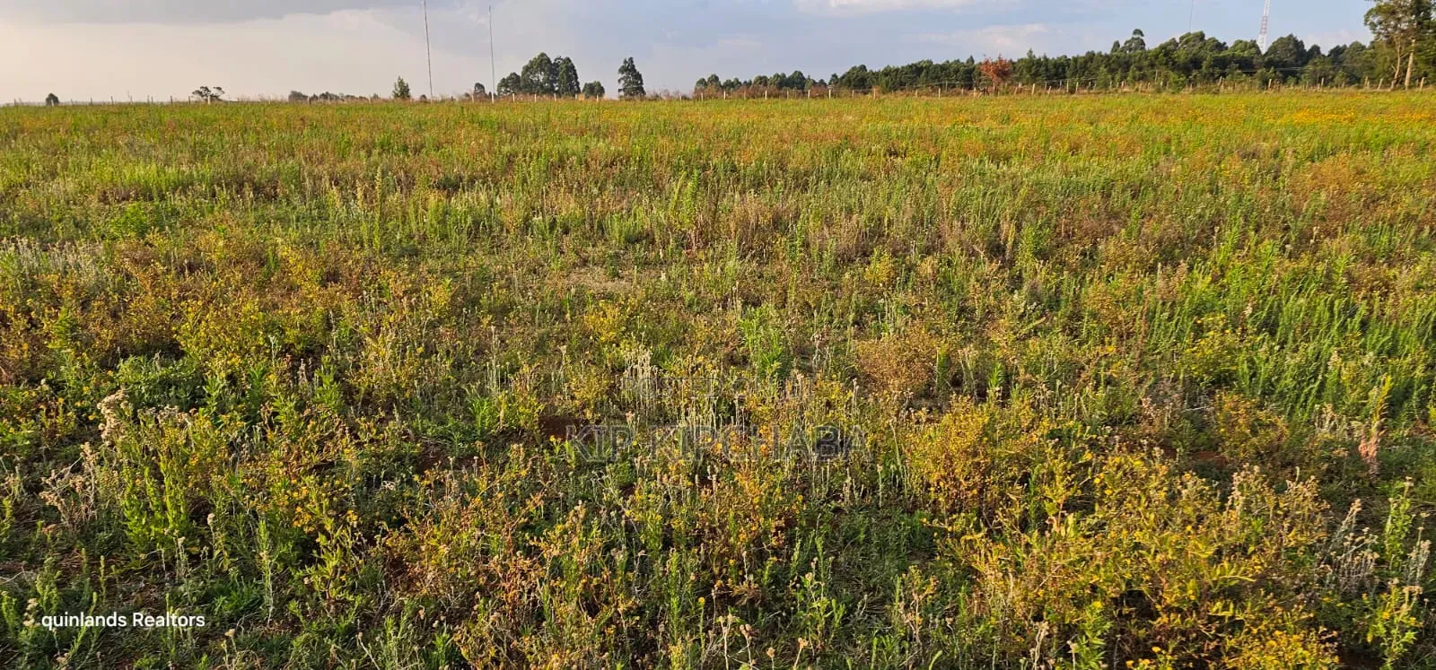 2 Acres for Sale Kapjaro Sergoit in Moiben Eldoret in Moiben