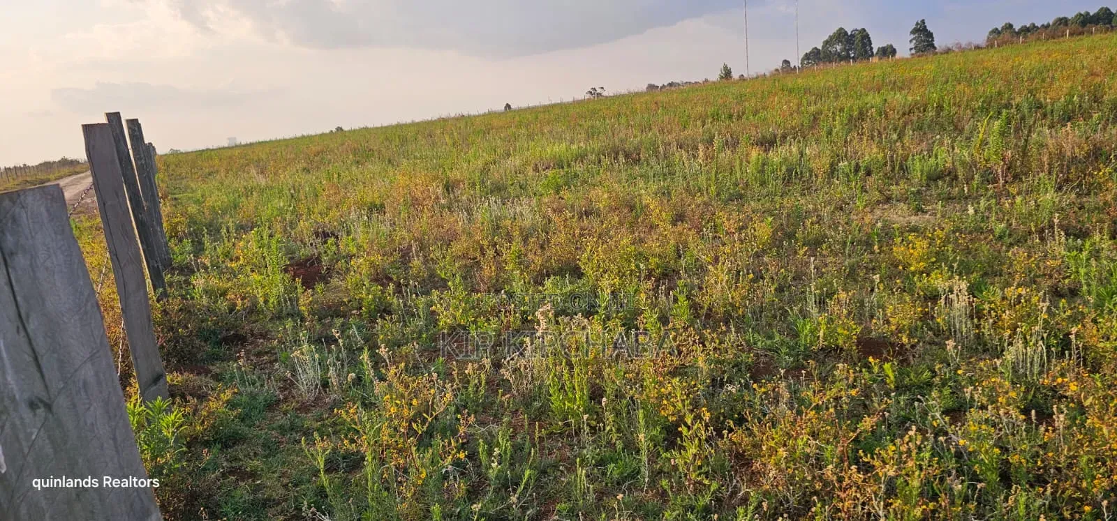 2 Acres for Sale Kapjaro Sergoit in Moiben Eldoret in Moiben