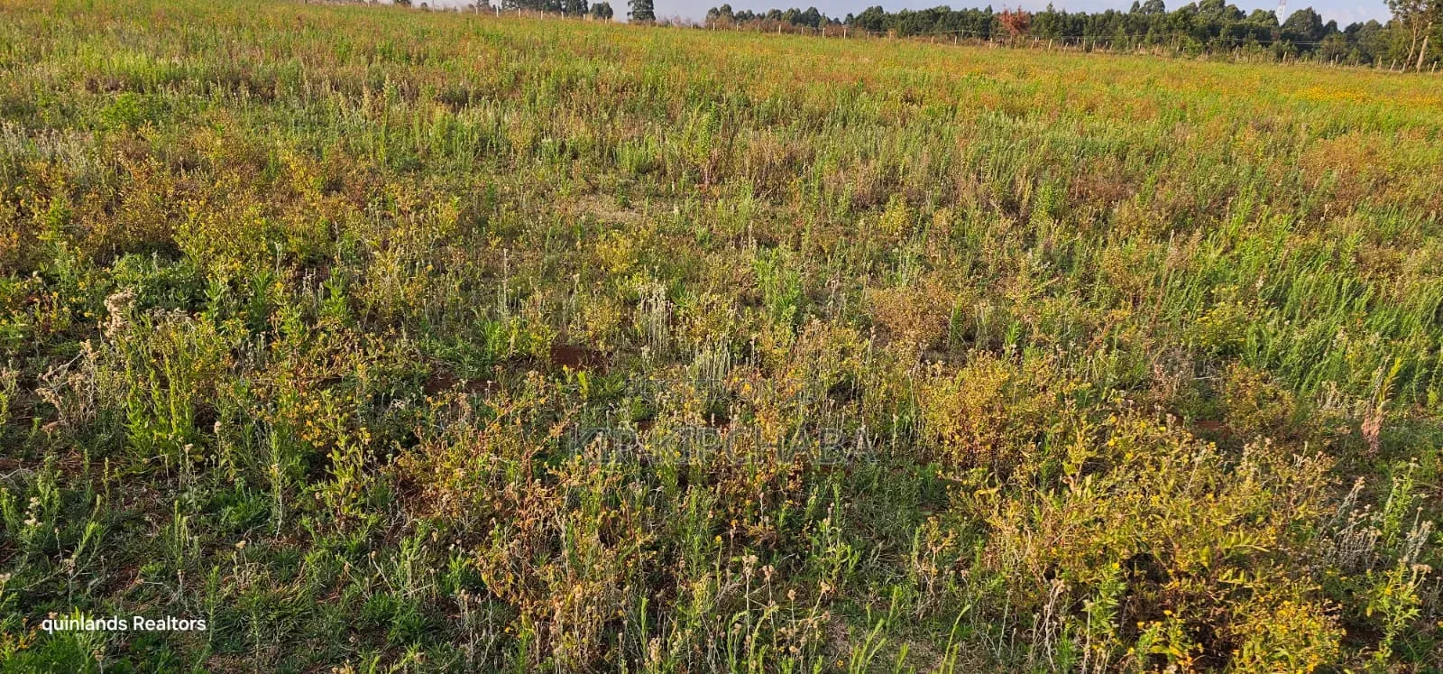 2 Acres for Sale Kapjaro Sergoit in Moiben Eldoret in Moiben