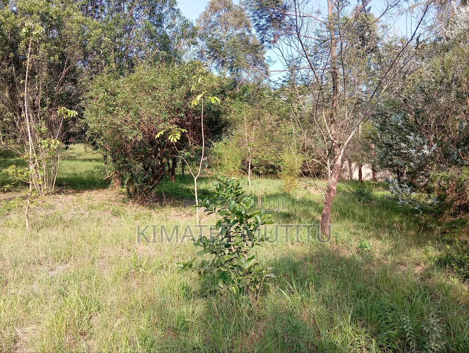 A Very Prime Residential 2 Acre With Plenty of Trees in Karen. in Karen