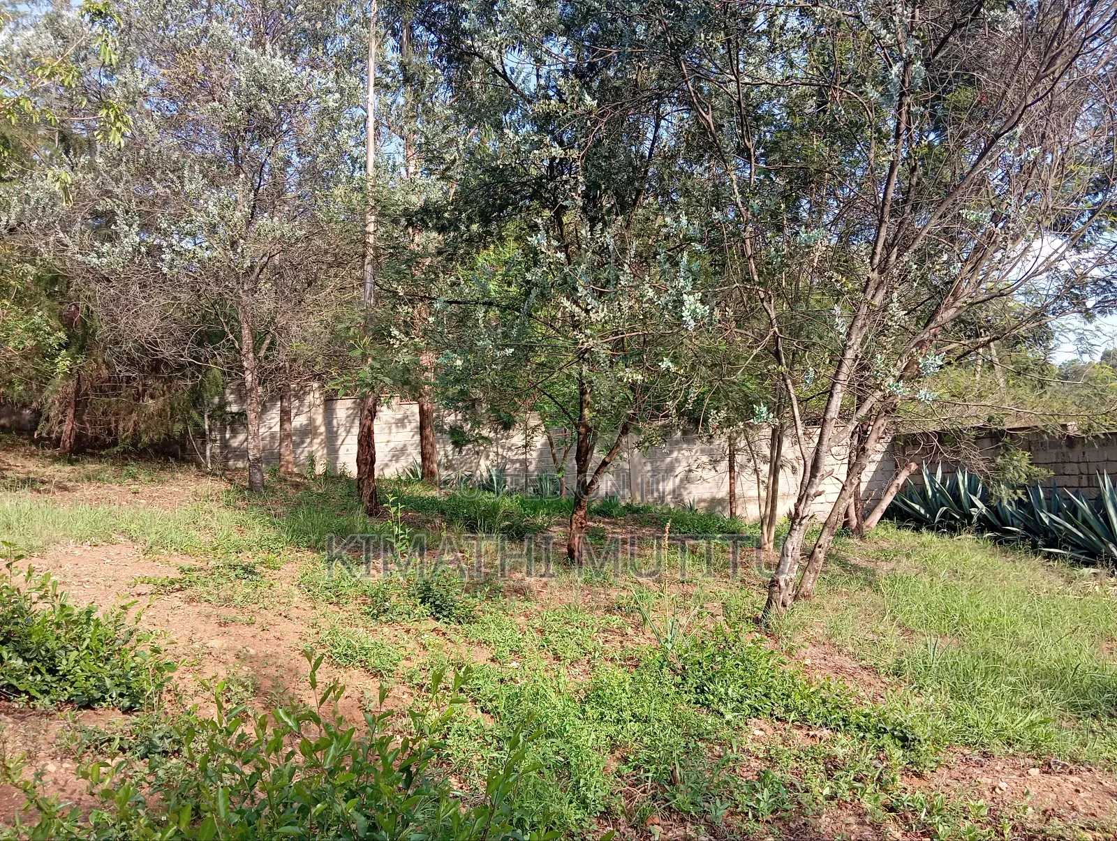 A Very Prime Residential 2 Acre With Plenty of Trees in Karen. in Karen