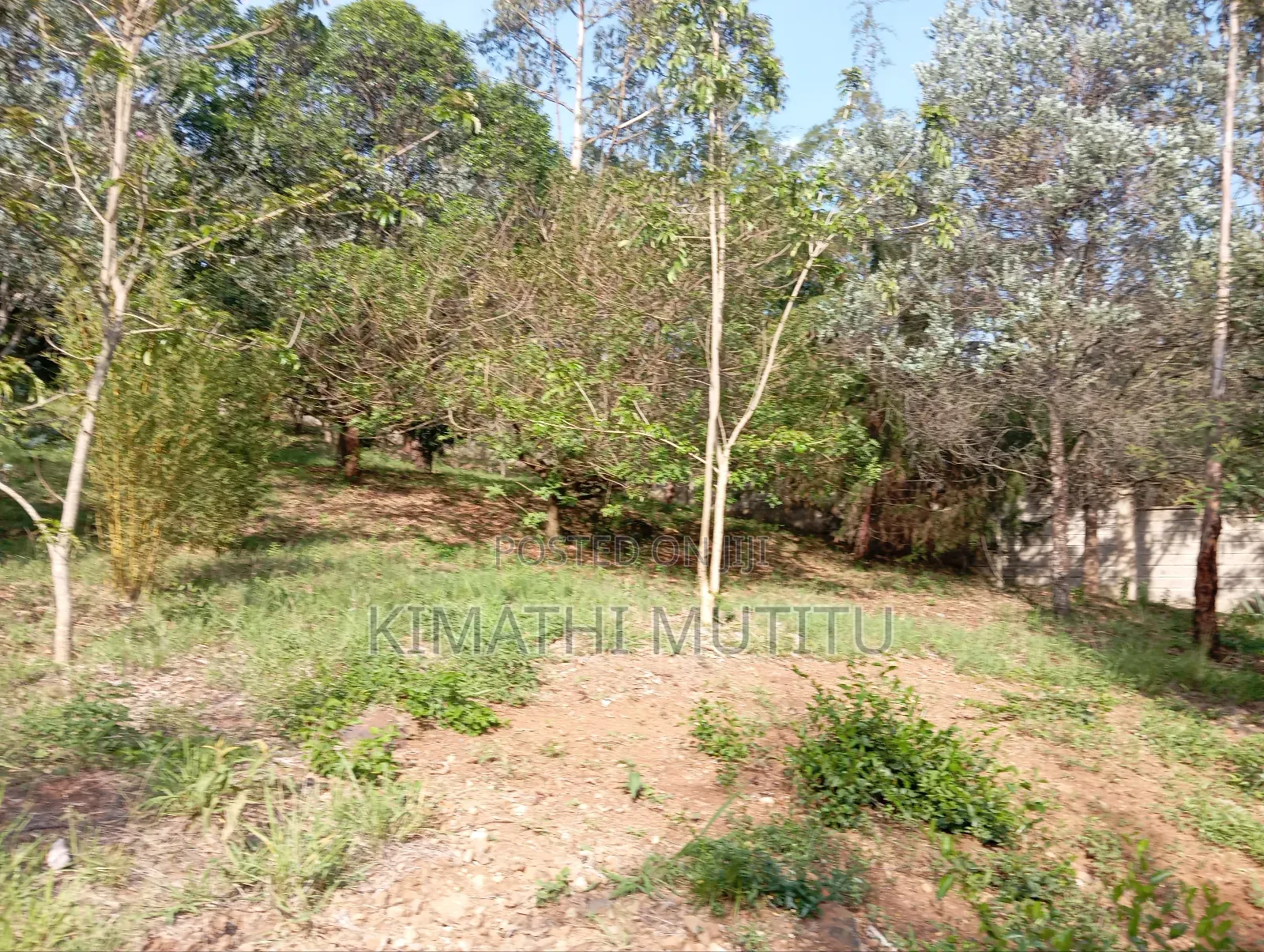 A Very Prime Residential 2 Acre With Plenty of Trees in Karen. in Karen
