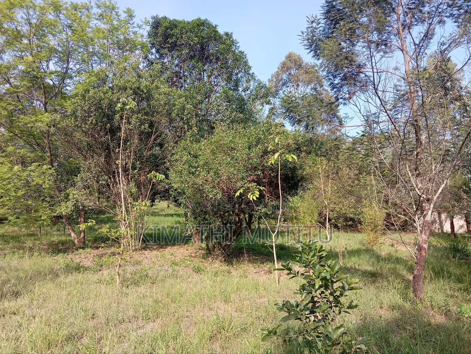 A Very Prime Residential 2 Acre With Plenty of Trees in Karen. in Karen