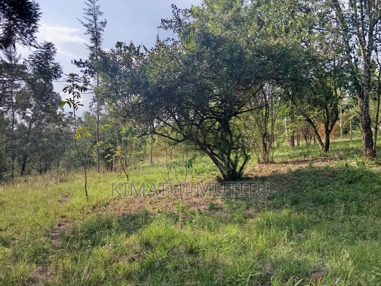 A Very Prime Residential 2 Acre With Plenty of Trees in Karen. in Karen