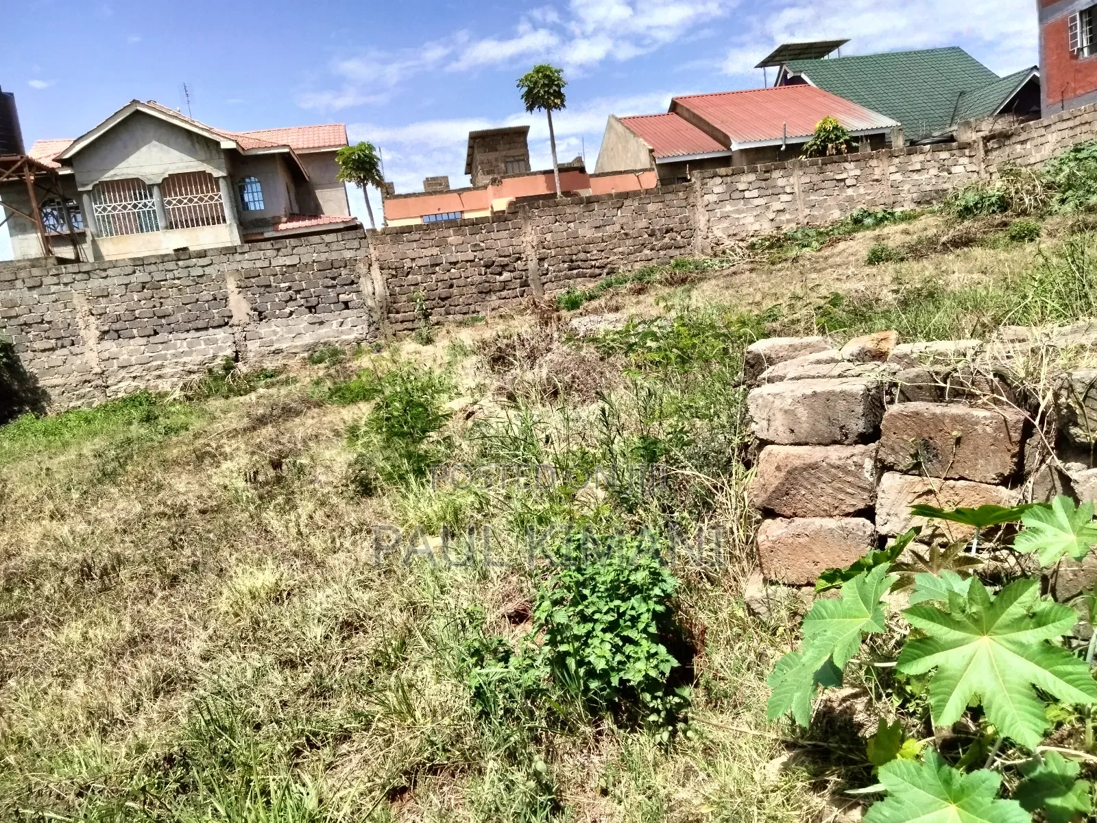Prime Plots at Juja in Kalimoni