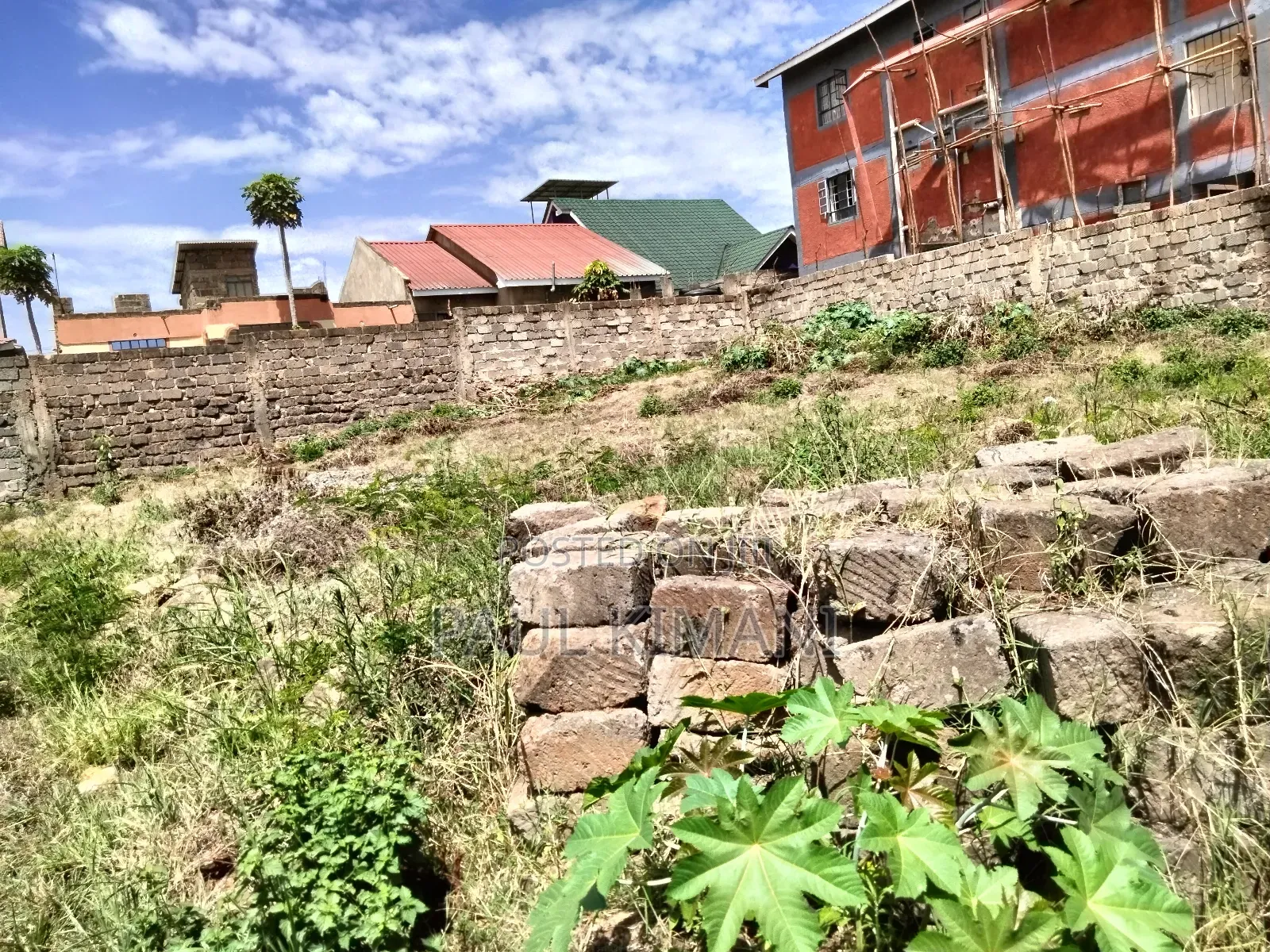 Prime Plots at Juja in Kalimoni